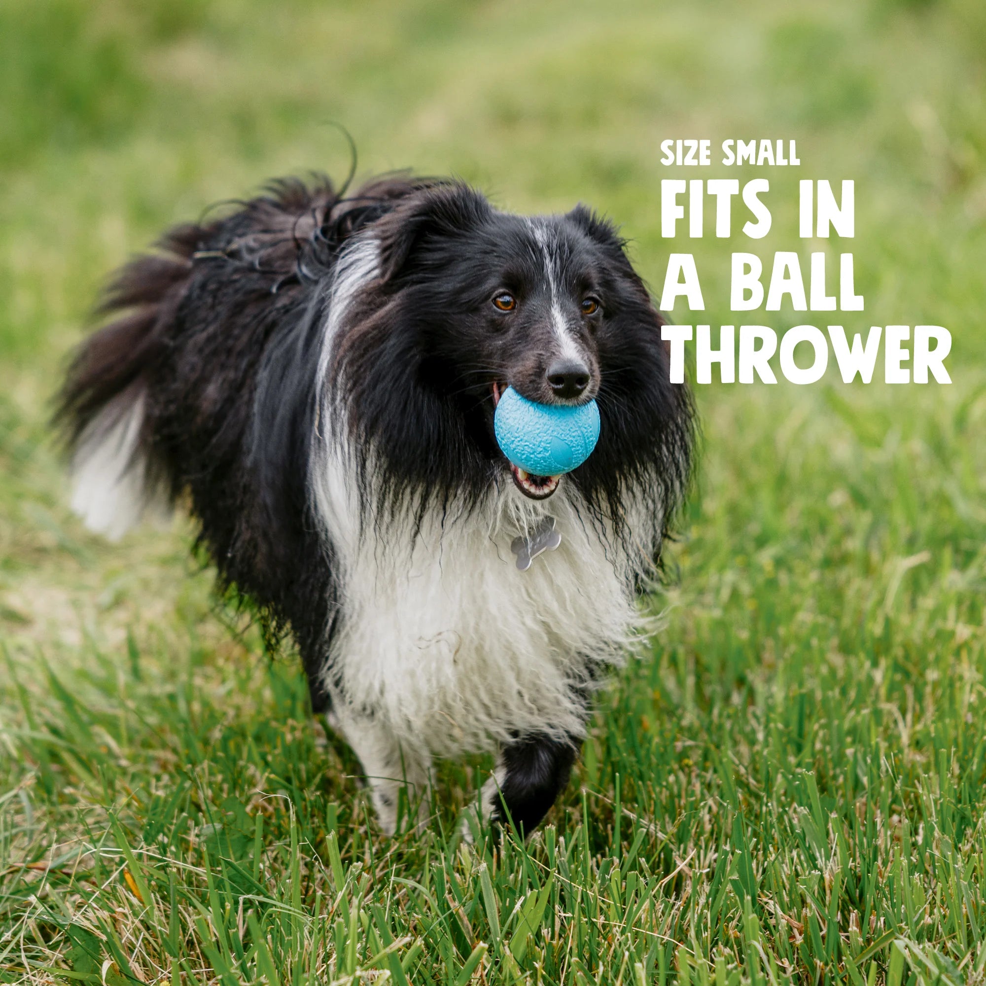 Boundr Glow de West Paw® Tamaño Grande – Pelota Squishy que Brilla en la Oscuridad para Perros