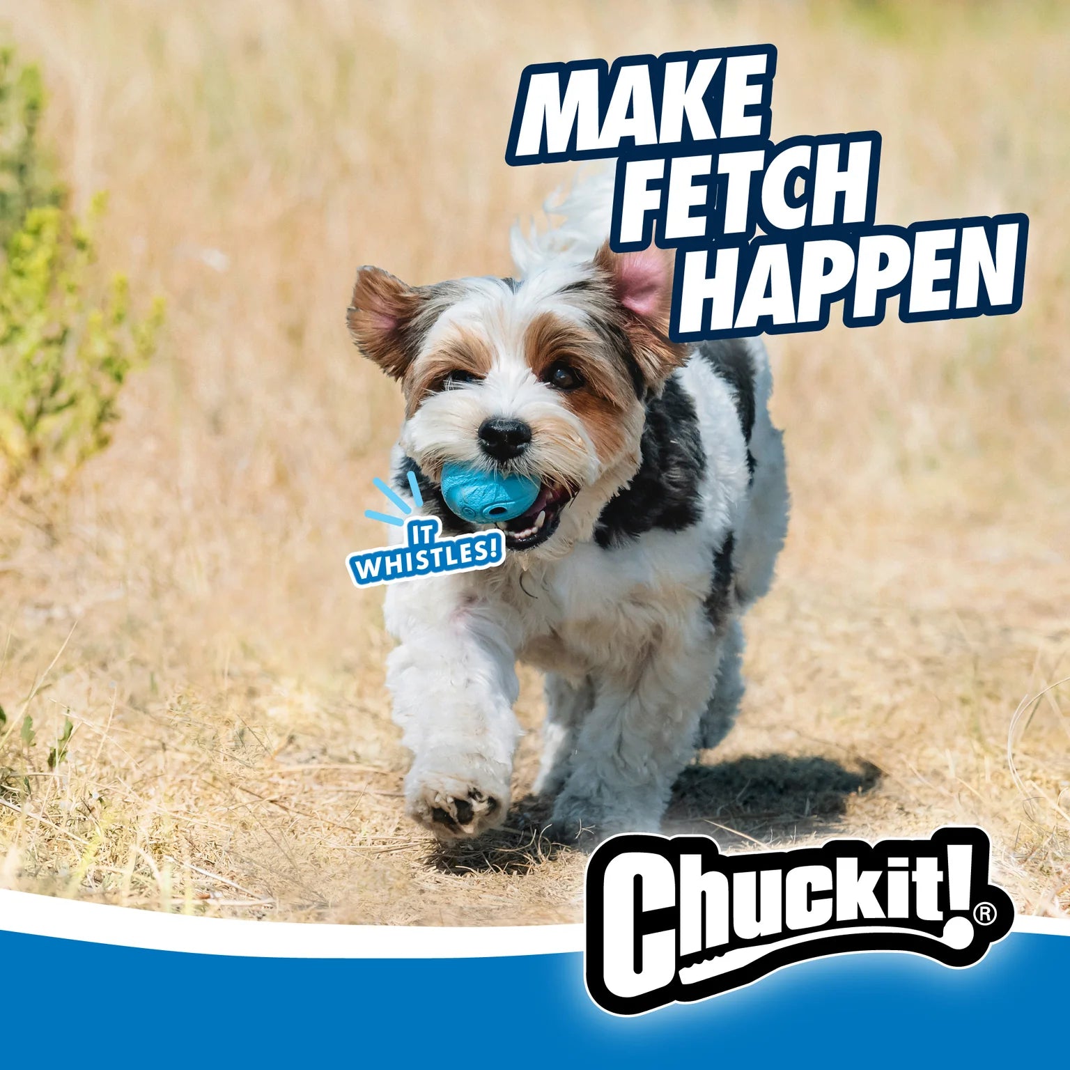 Pelota Silbadora para Perros - Chuckit! The Whistler Dog Toy | Chuckit!®