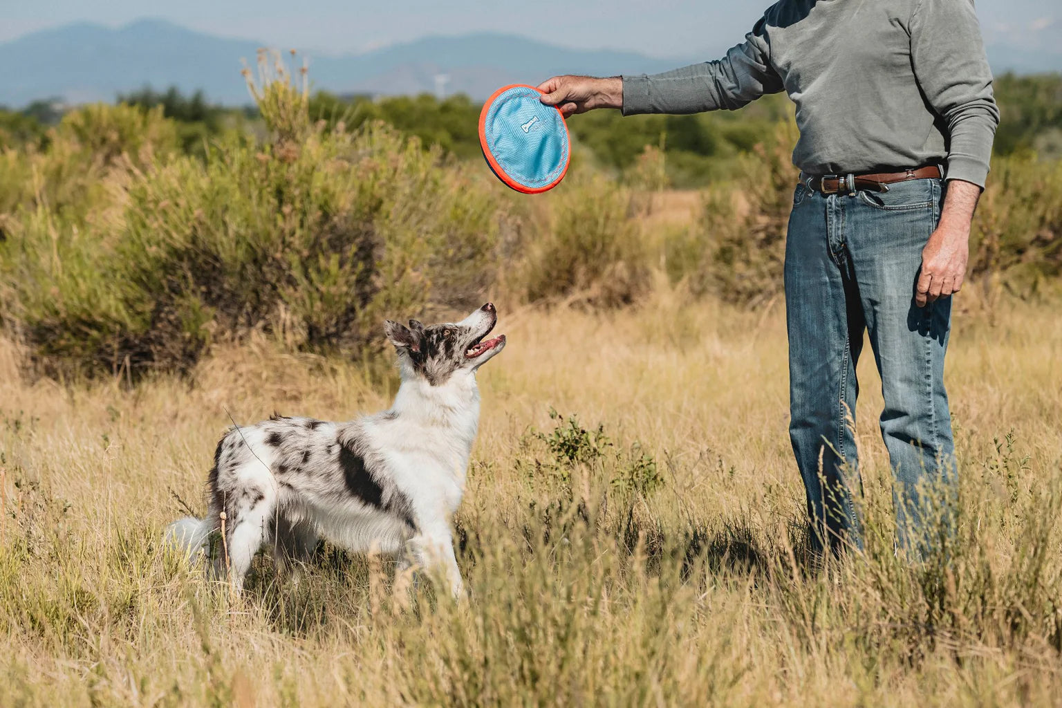 Disco Flotante para Perros - Paraflight Flyer | Chuckit!®