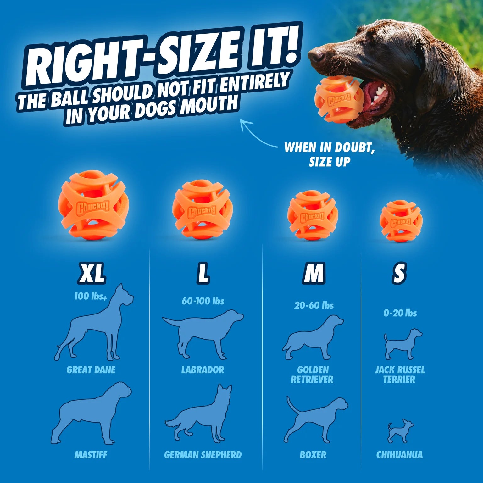 Pelota Chuckit! Air Fetch para Perros - Chuckit! Air Fetch Ball | Chuckit!®