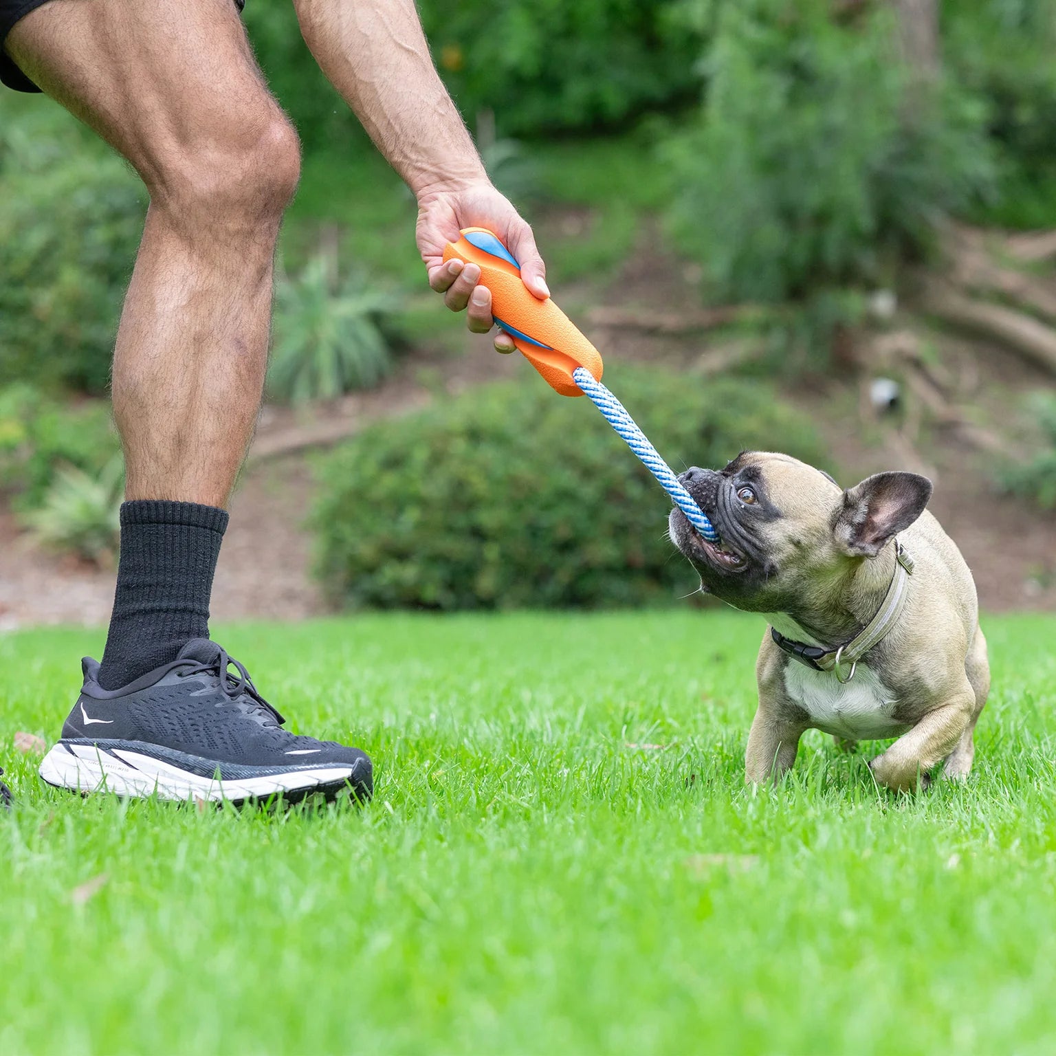 Juguete Ultra Bumper Tug para Perros - Ultra Bumper Tug Dog Toy | Chuckit!®