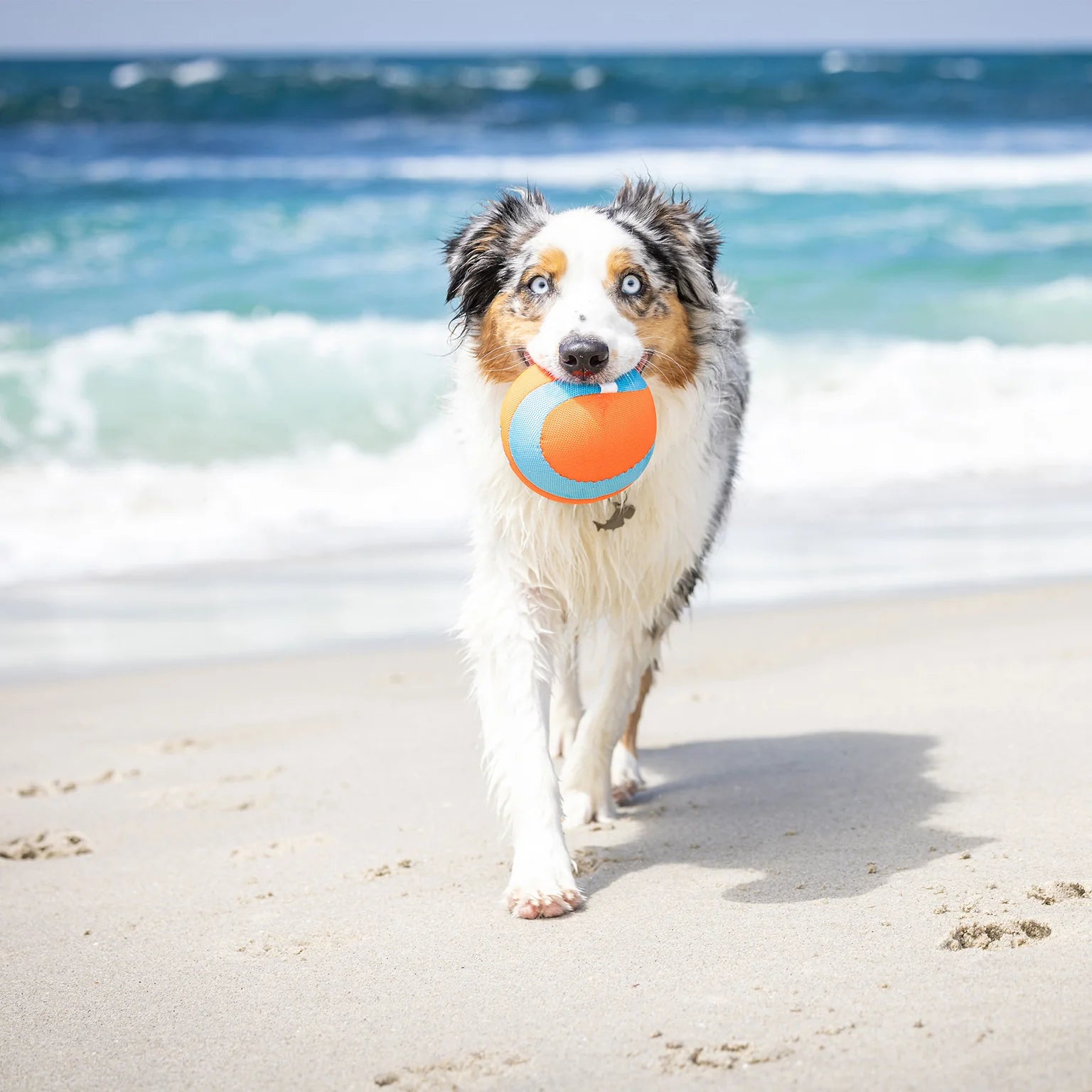 Pelota Flotante para Perros Medianos y Grandes - Amphibious Mega Ball | Chuckit!®
