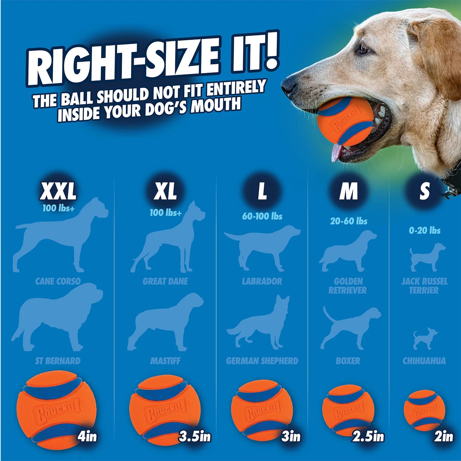 Pelota Ultra para Perros - Ultra Ball Dog Toy | Chuckit!®