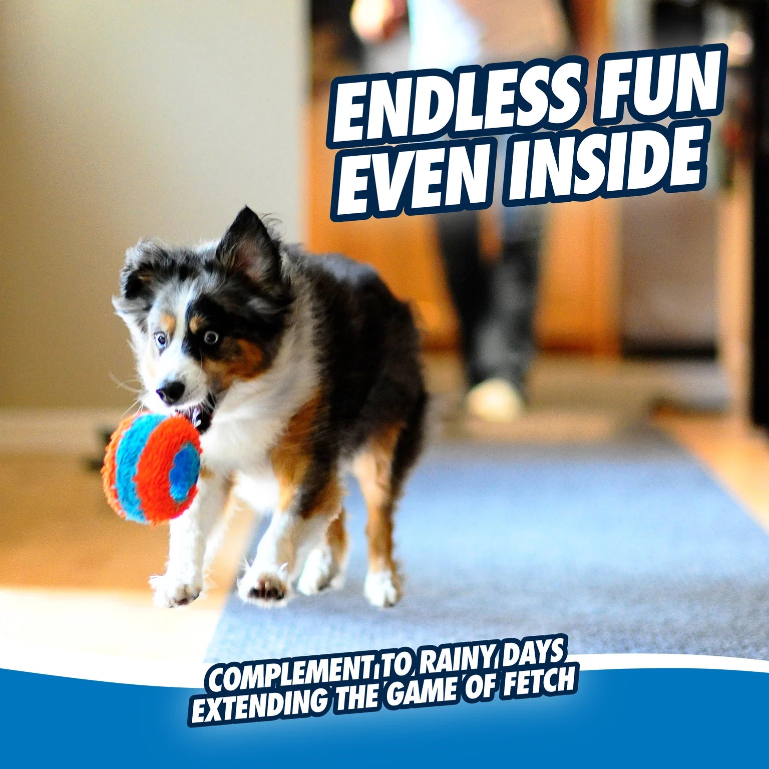 Juguete Rodante para Interiores para Perros - Chuckit! Indoor Roller Dog Toy | Chuckit!®