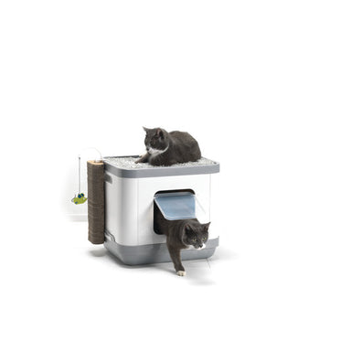 Cat Concept Moderna con dos gatos