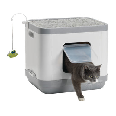 Cat Concept Moderna con gato