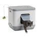 Cat Concept Moderna con gato