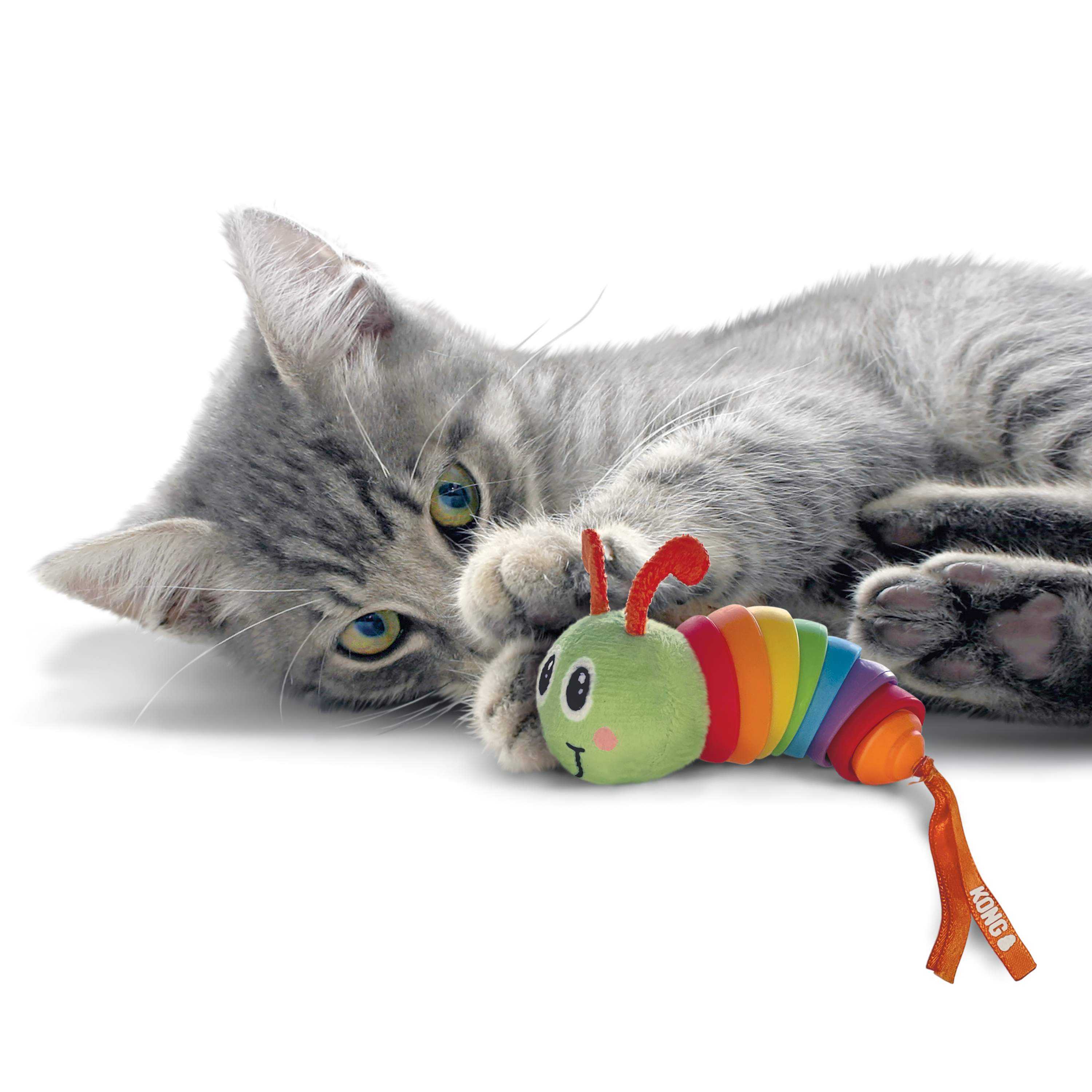 Gato jugando con la KONG Clackz Caterpillar