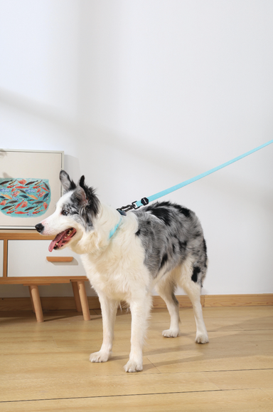 Pechera Step-In ORIGAMI Leafy Crease para Perro – Reflejante con Diseño Origami 