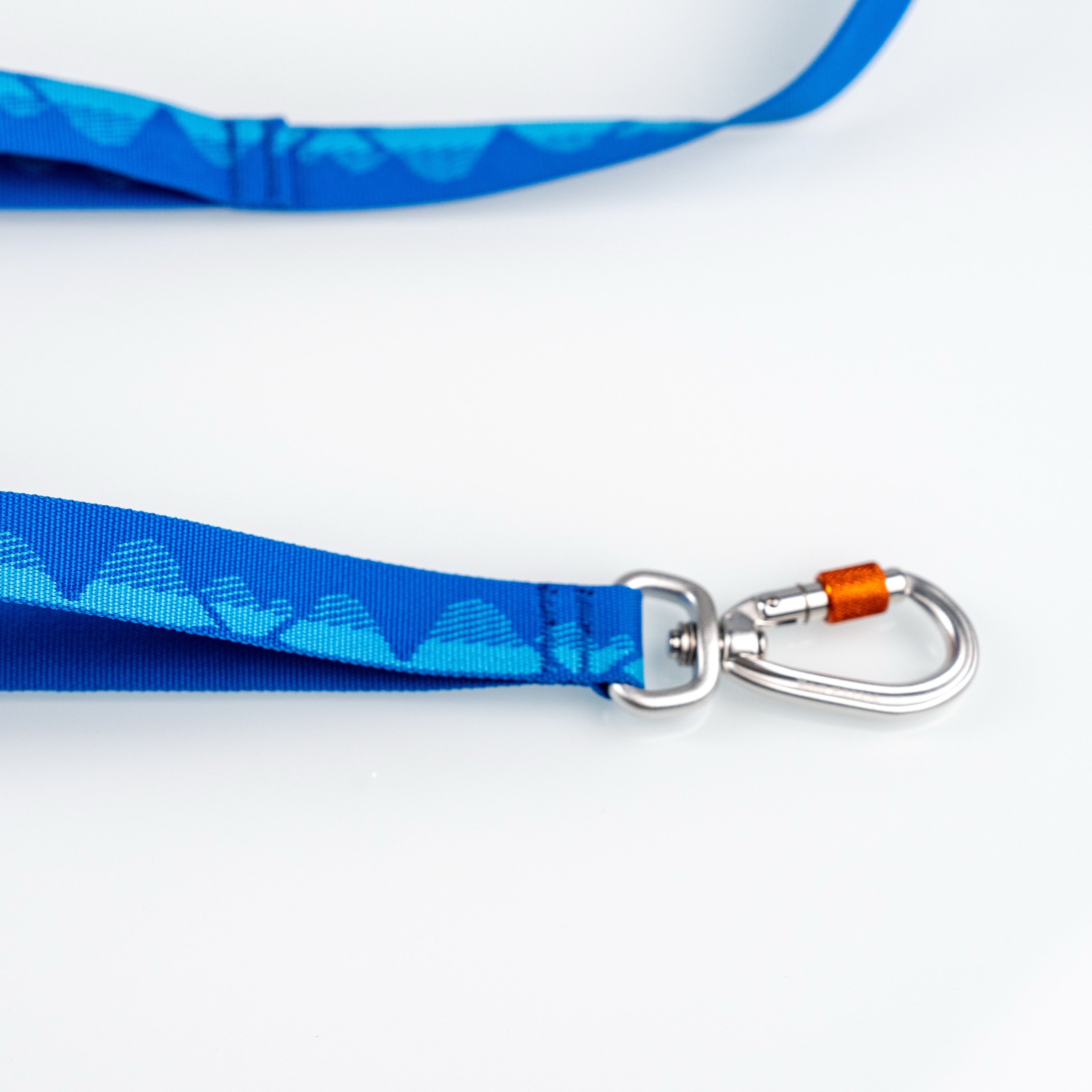Correa Sierra JacQ Leash Azul Acero vista de producto