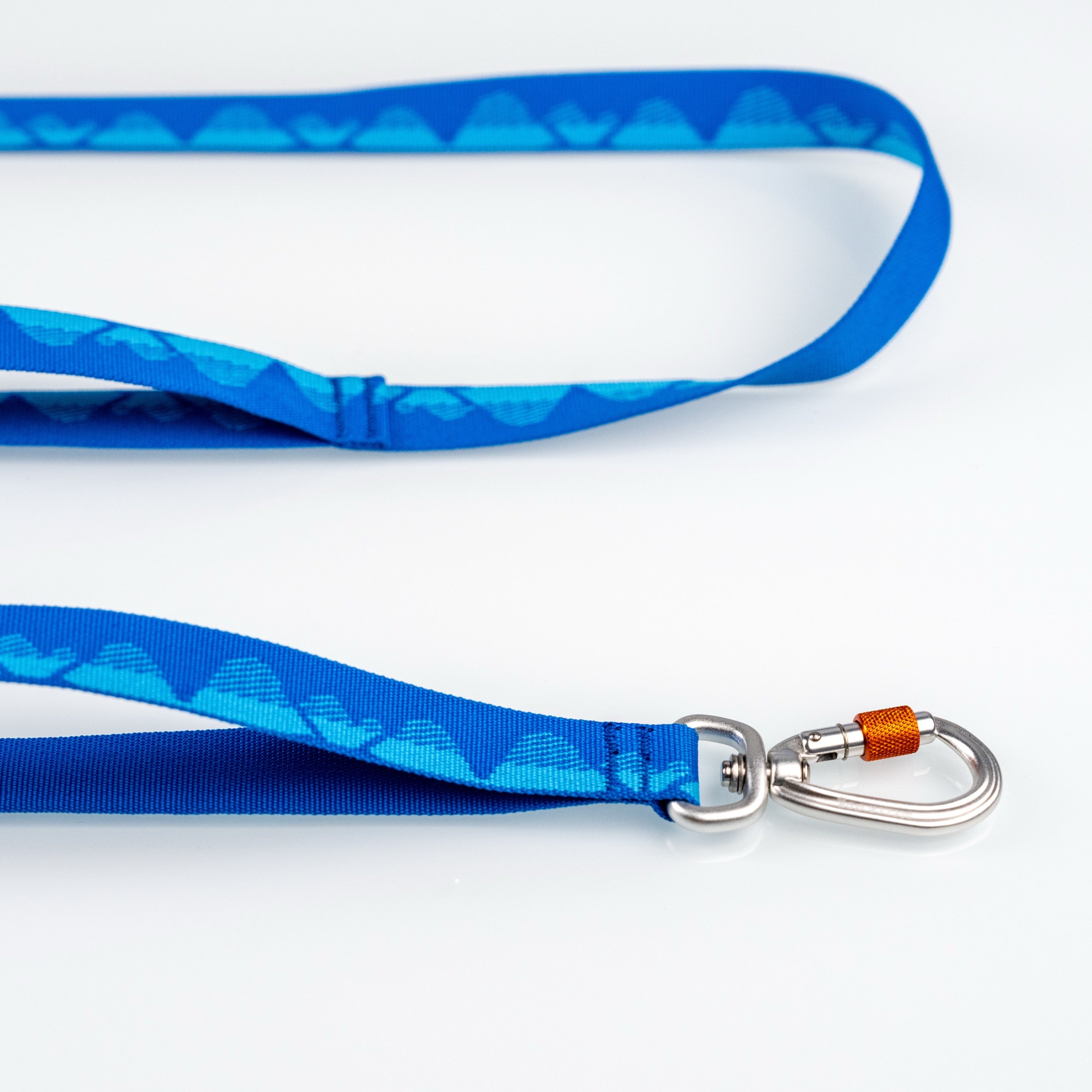 Correa Sierra JacQ Leash Azul Acero vista de producto