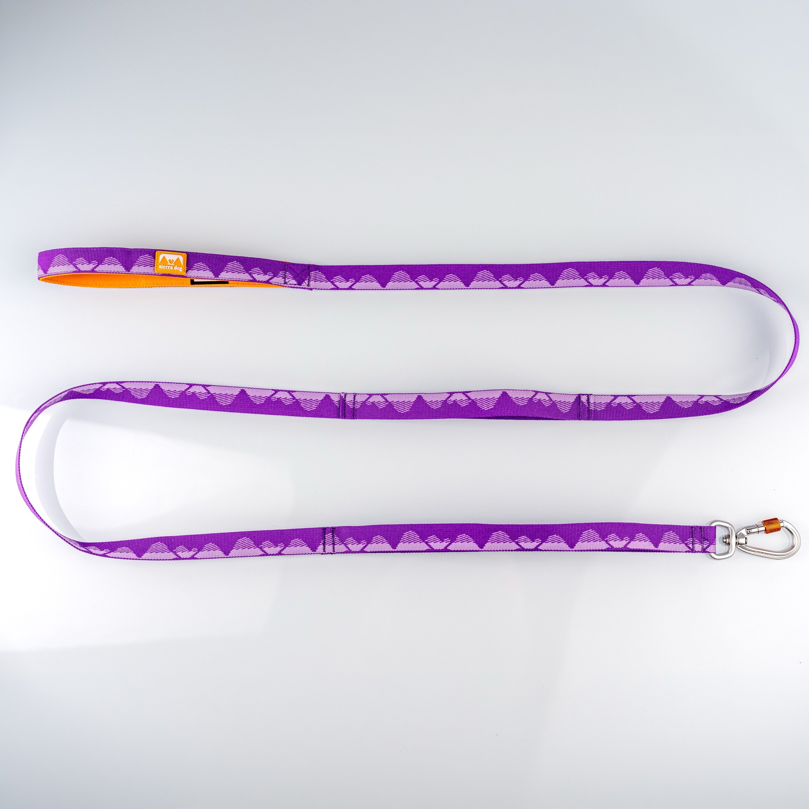 Correa Sierra JacQ Leash Morado Índigo foto principal