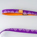 Correa Sierra JacQ Leash Morado Índigo vista de producto