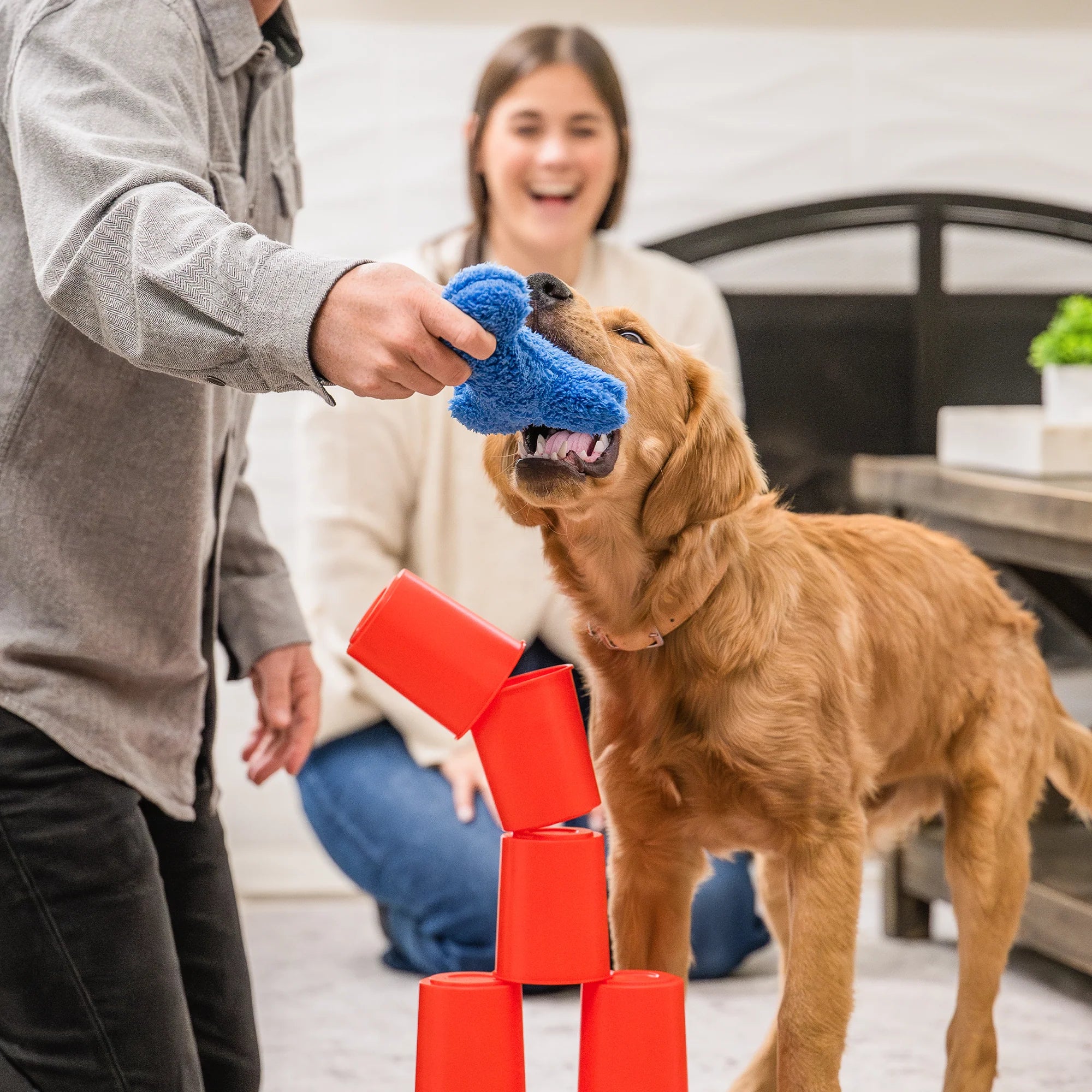 The Dog’s Best Friend Game® – Juego de Mesa Humano-Perro (Solo en Inglés) | West Paw®