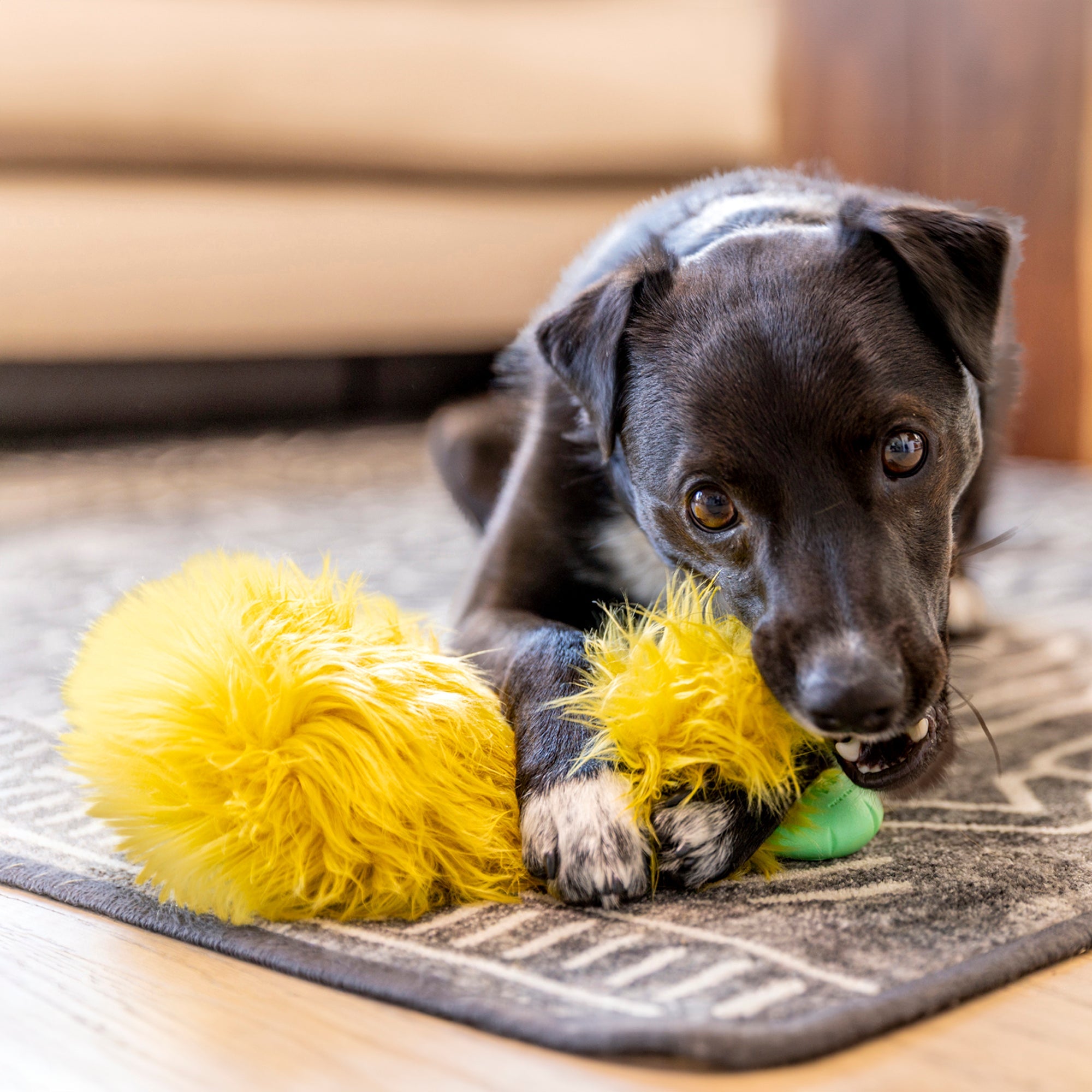 Juguete ASTRID para Perros con Peluche Reforzado y Zogoflex® - Amarillo Cítrico (Citrus) | ROWDIES de West Paw