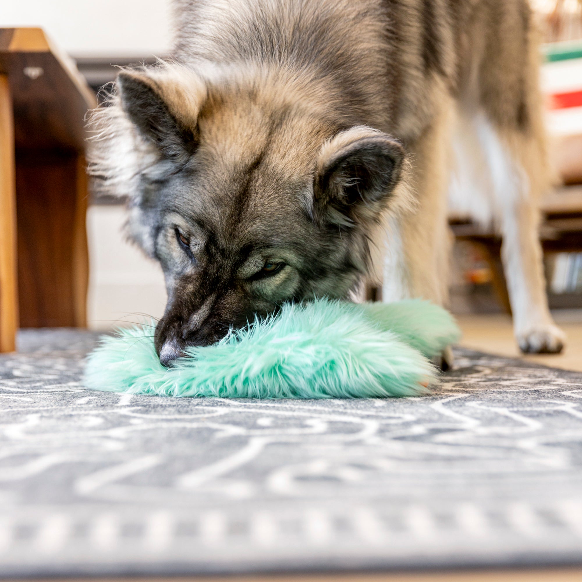 Juguete BJORN para Perros con Peluche Reforzado y Zogoflex® - Amarillo Cítrico (Citrus) | ROWDIES de West Paw
