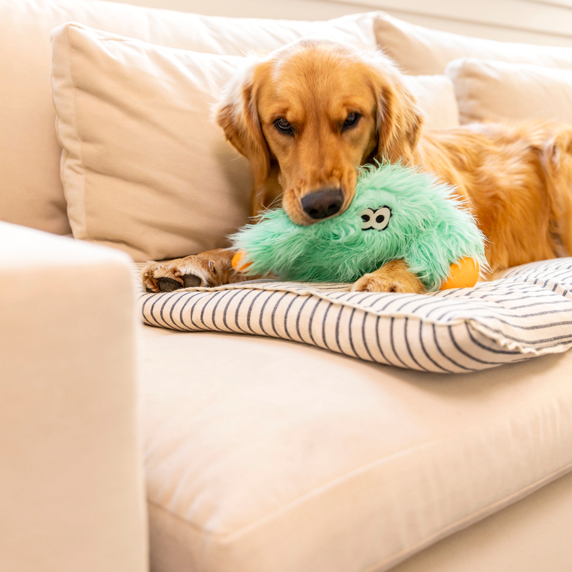 Juguete HELGA para Perros con Peluche Reforzado y Zogoflex® - Amarillo Cítrico (Citrus) | ROWDIES de West Paw