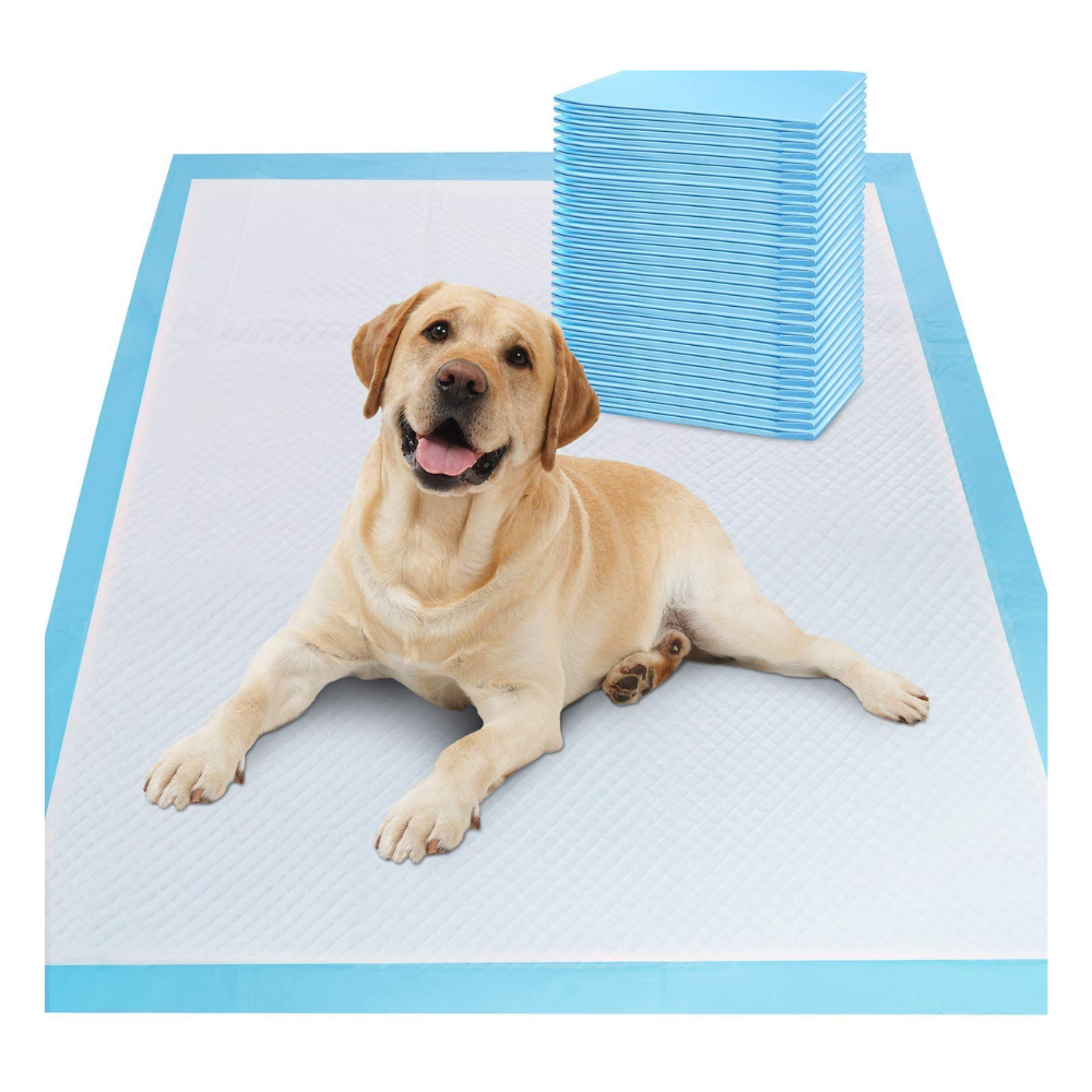 Tapete Entrenador para Perros No Worries – 56 × 51 cm – Caja con 100 Piezas