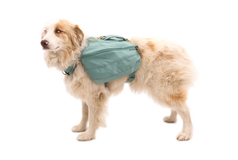 Mochila alforja para perros hotsell