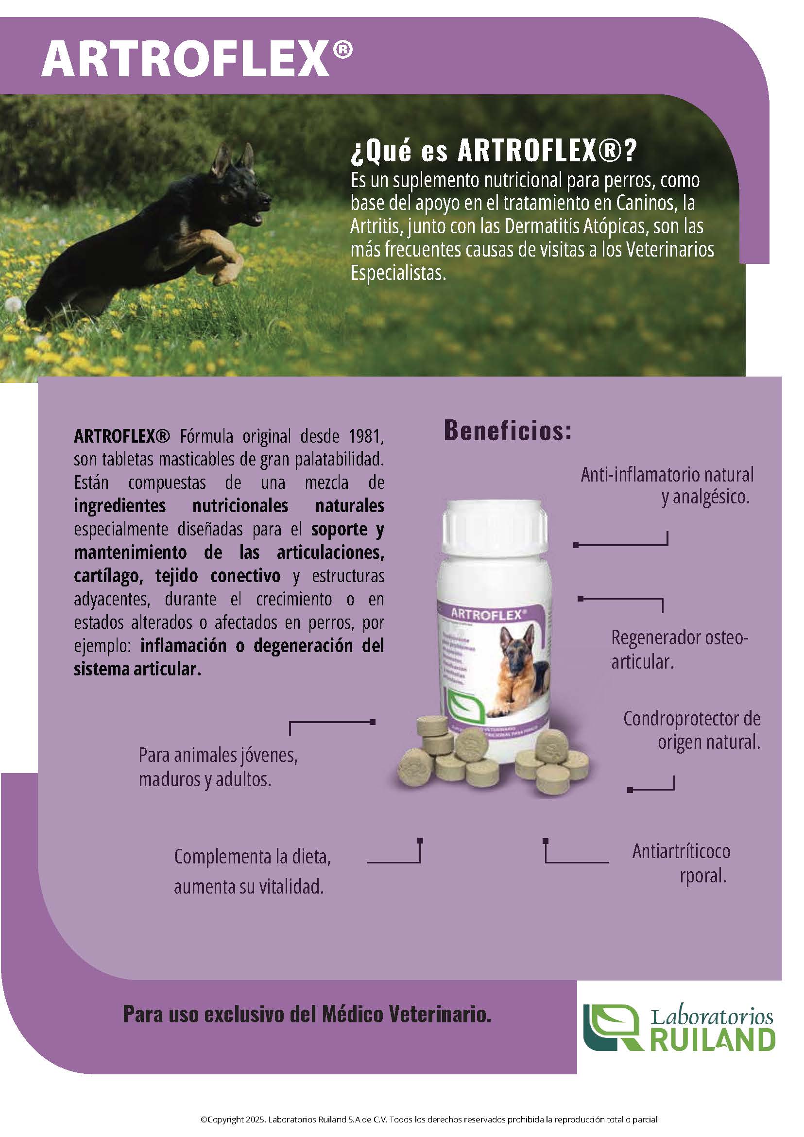 Artroflex® Tabletas Masticables para Perros – Suplemento Articular con Glucosamina y Condroitina | Ruiland