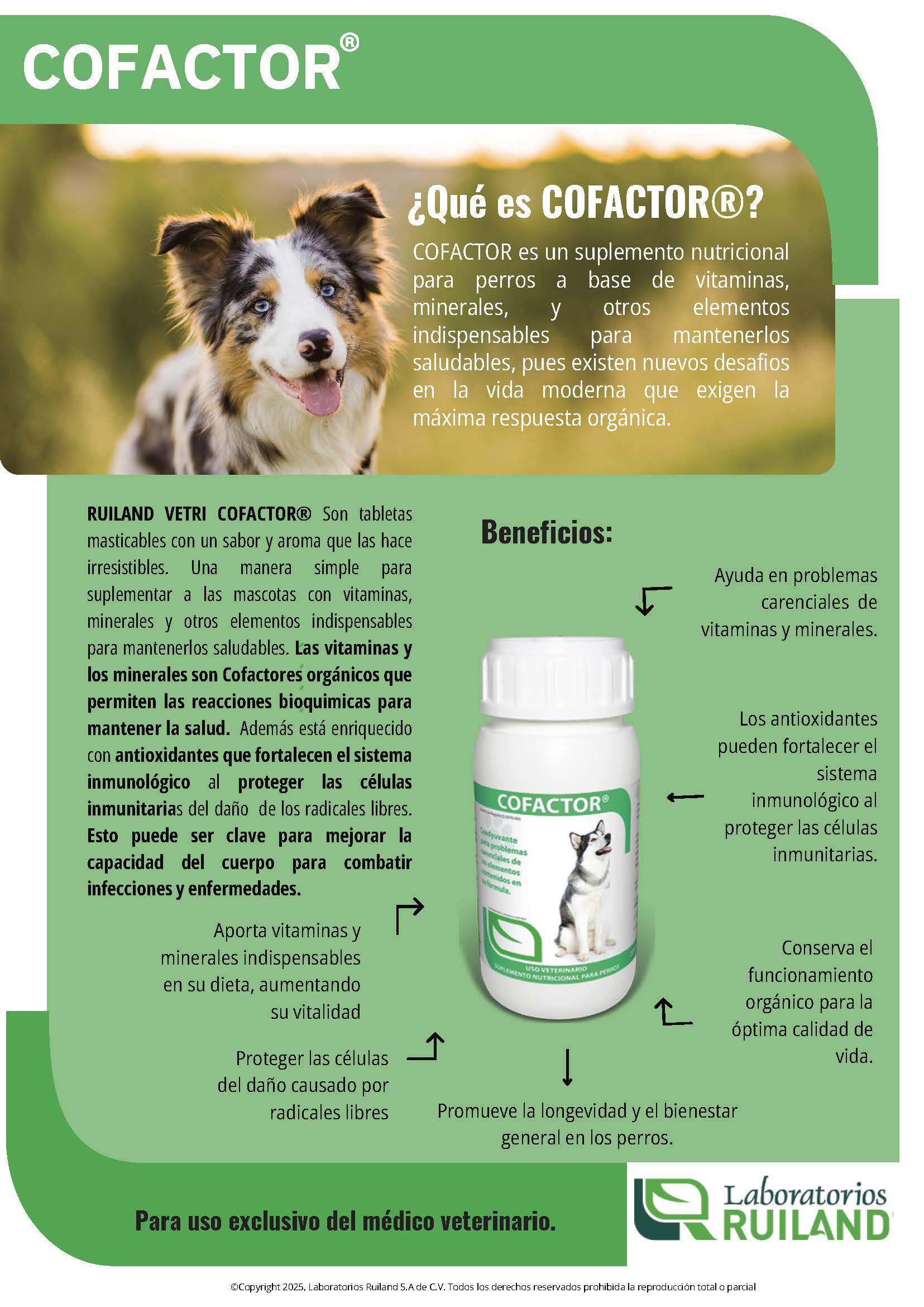 Cofactor® Tabletas Masticables para Perros – Suplemento Multivitamínico y Antioxidante | Ruiland