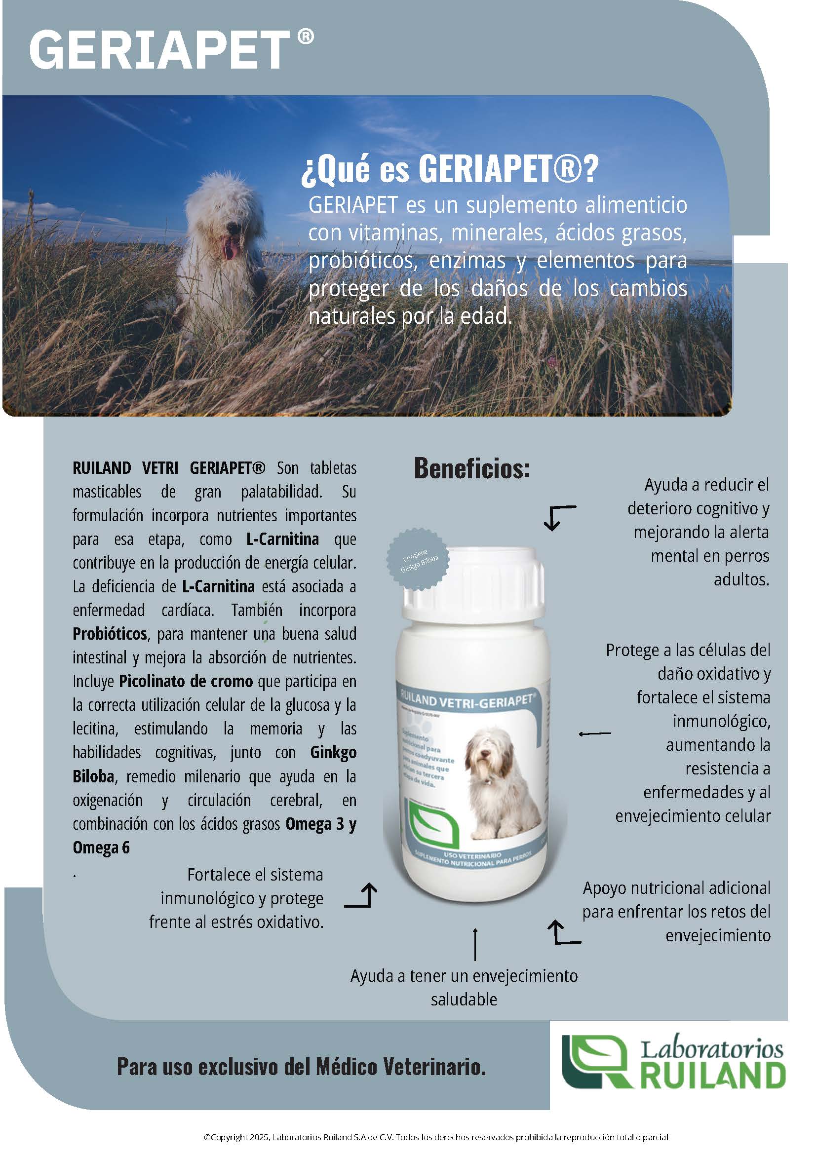Geriapet® Tabletas Masticables para Perros Senior – Suplemento Integral con L-Carnitina, Probióticos y Ginkgo Biloba | Ruiland