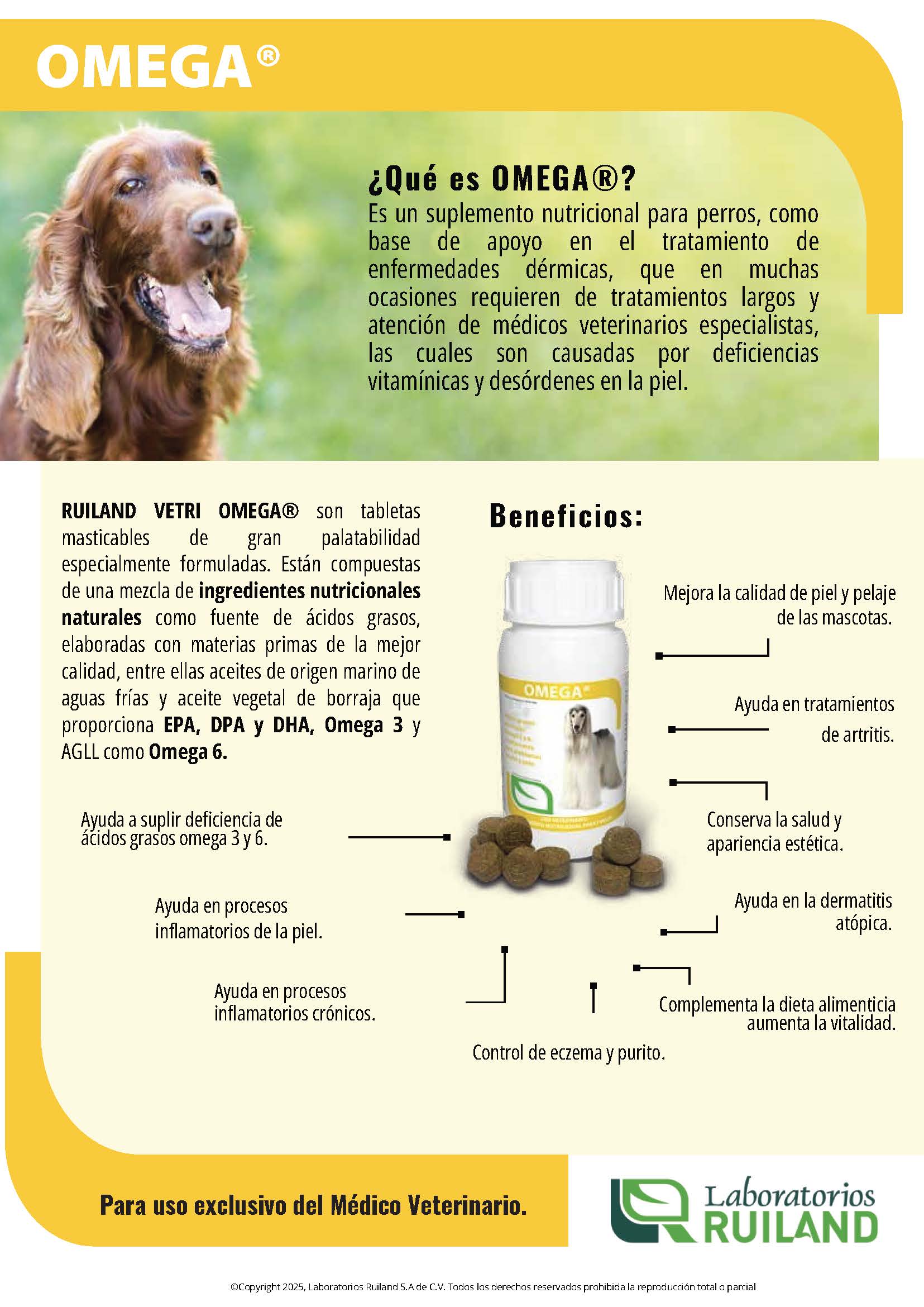 Omega® Tabletas Masticables para Perros – Suplemento con Ácidos Grasos Esenciales para Piel y Pelaje | Ruiland