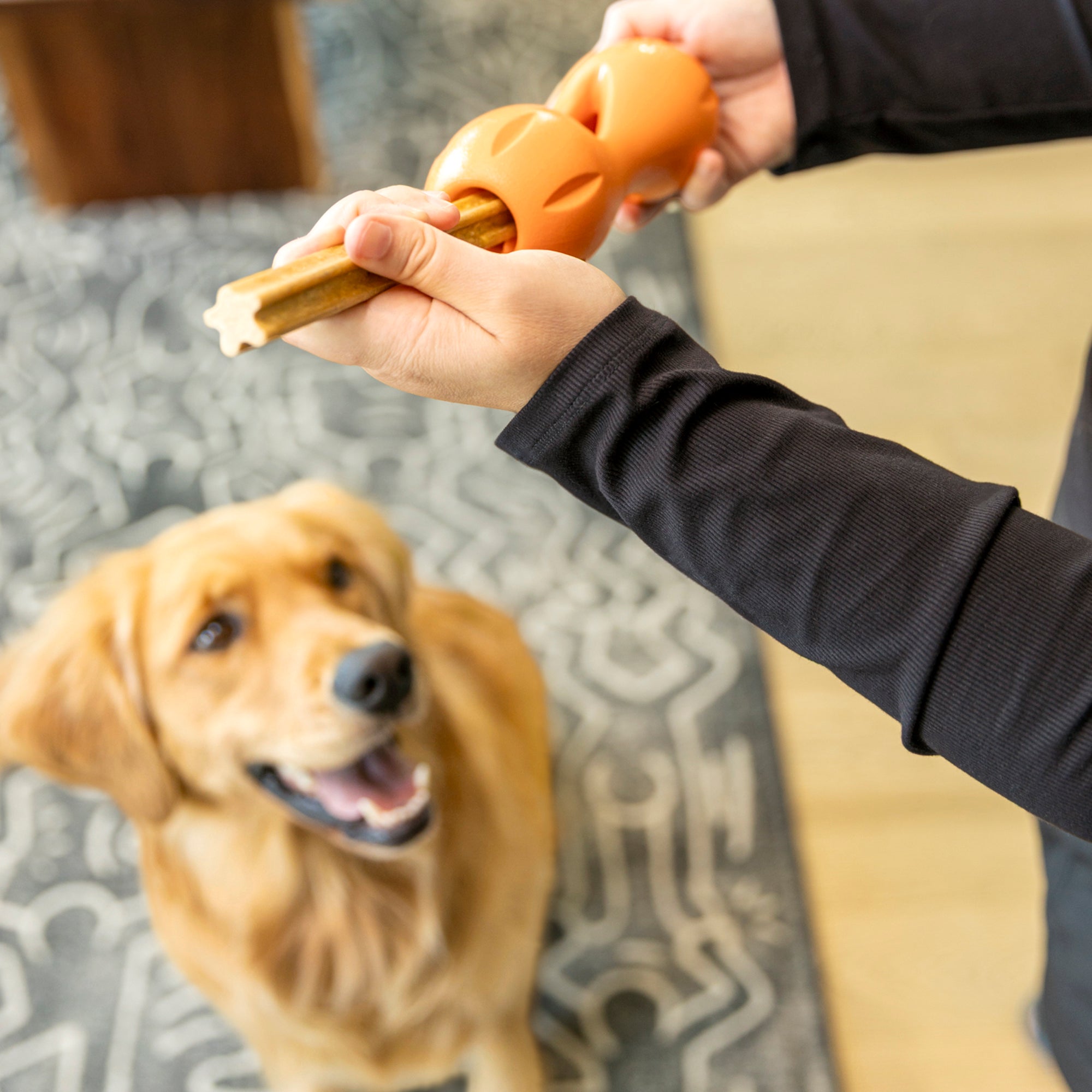 Natural Dental Sticks de West Paw® — Snacks Dentales Naturales para Qwizl