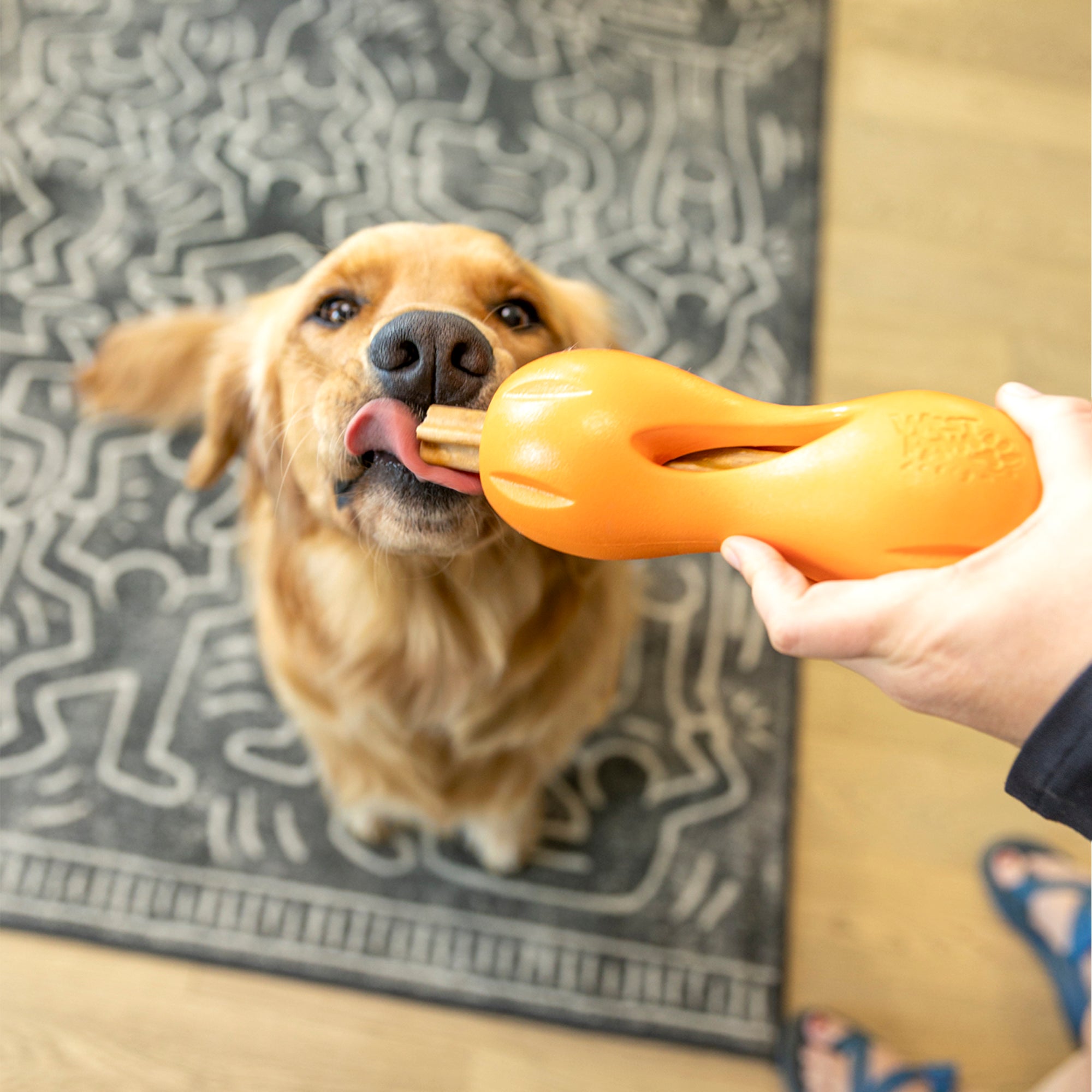 Natural Dental Sticks de West Paw® — Snacks Dentales Naturales para Qwizl