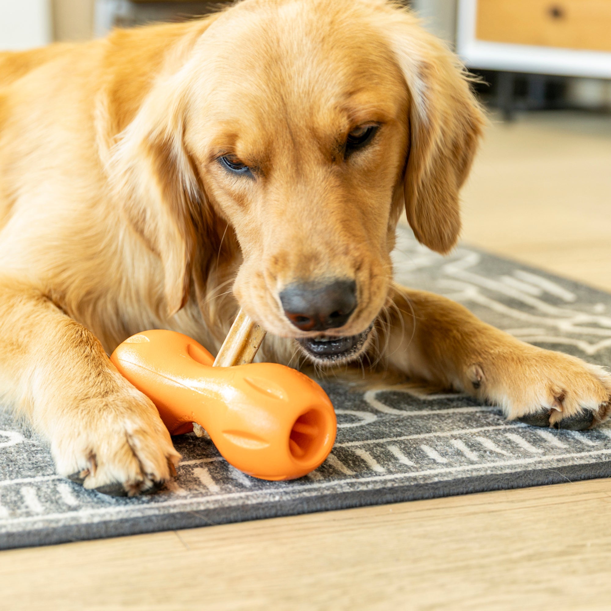 Natural Dental Sticks de West Paw® — Snacks Dentales Naturales para Qwizl
