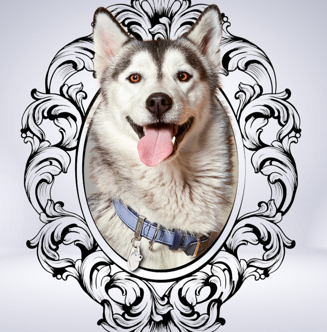 Placa ID en Forma de Husky para Perros