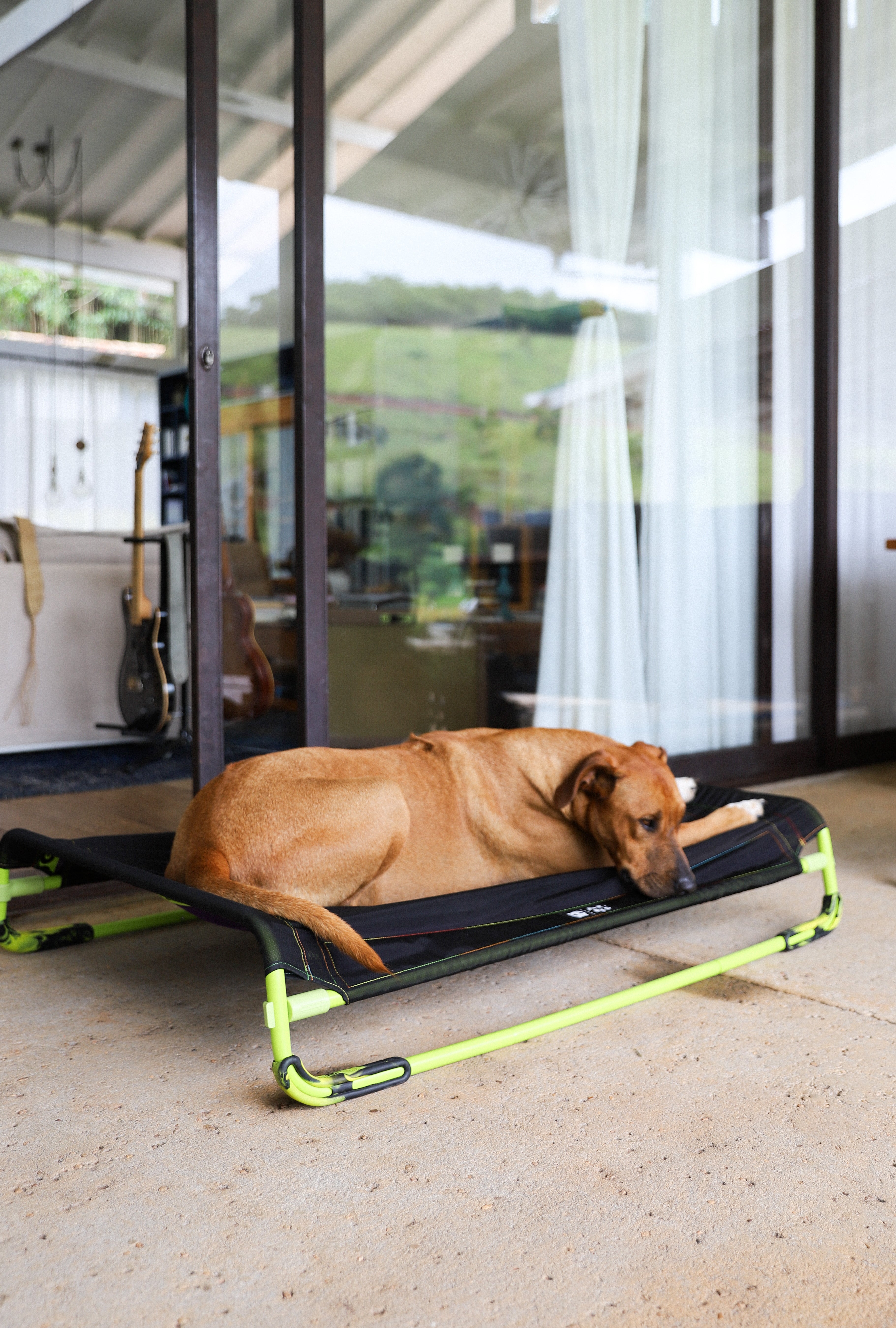 Cama Elevada para Perros – Negra — La Tienda de - Main Image