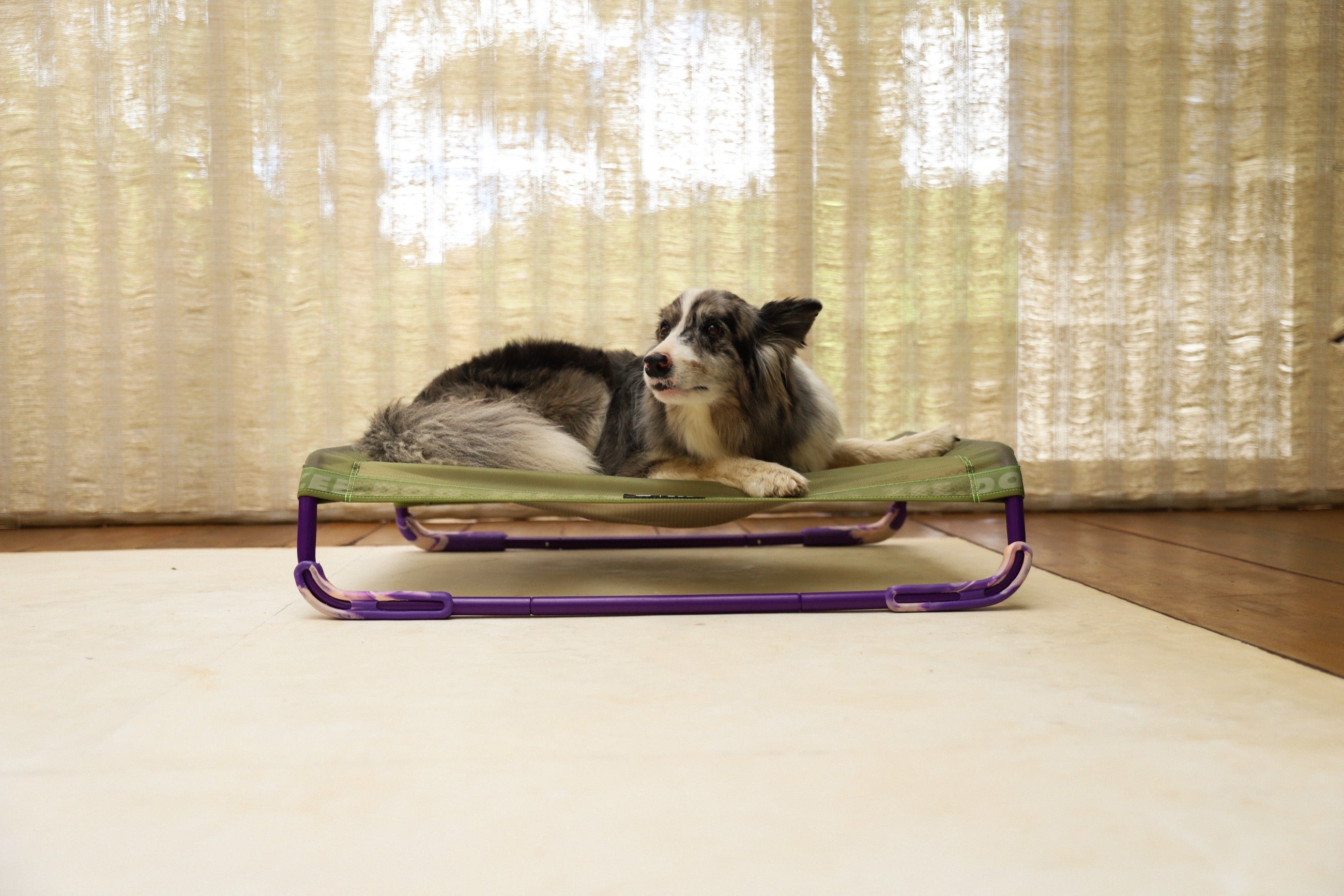 Cama Elevada Air.Bed para Perros – Verde (Green) | Zee.Dog