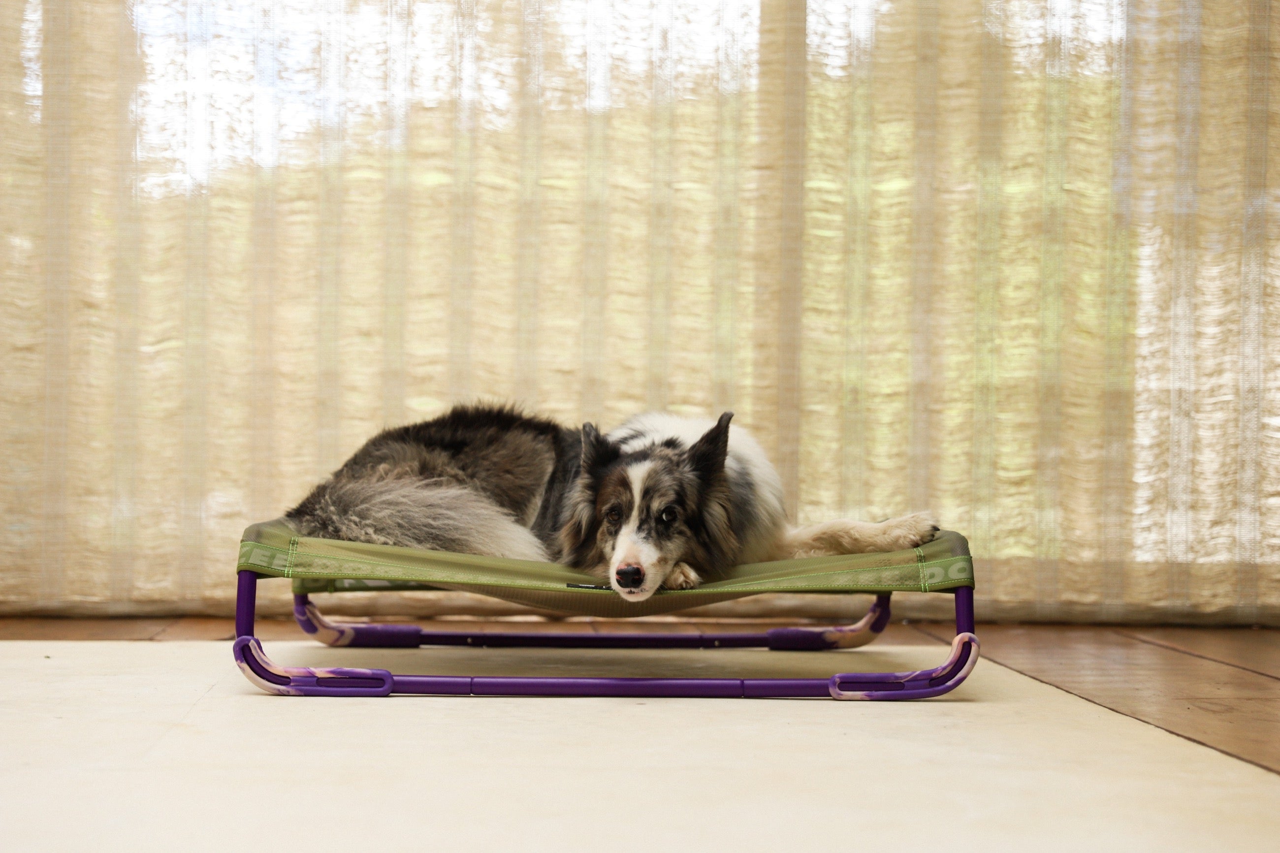 Cama Elevada Air.Bed para Perros – Verde (Green) | Zee.Dog