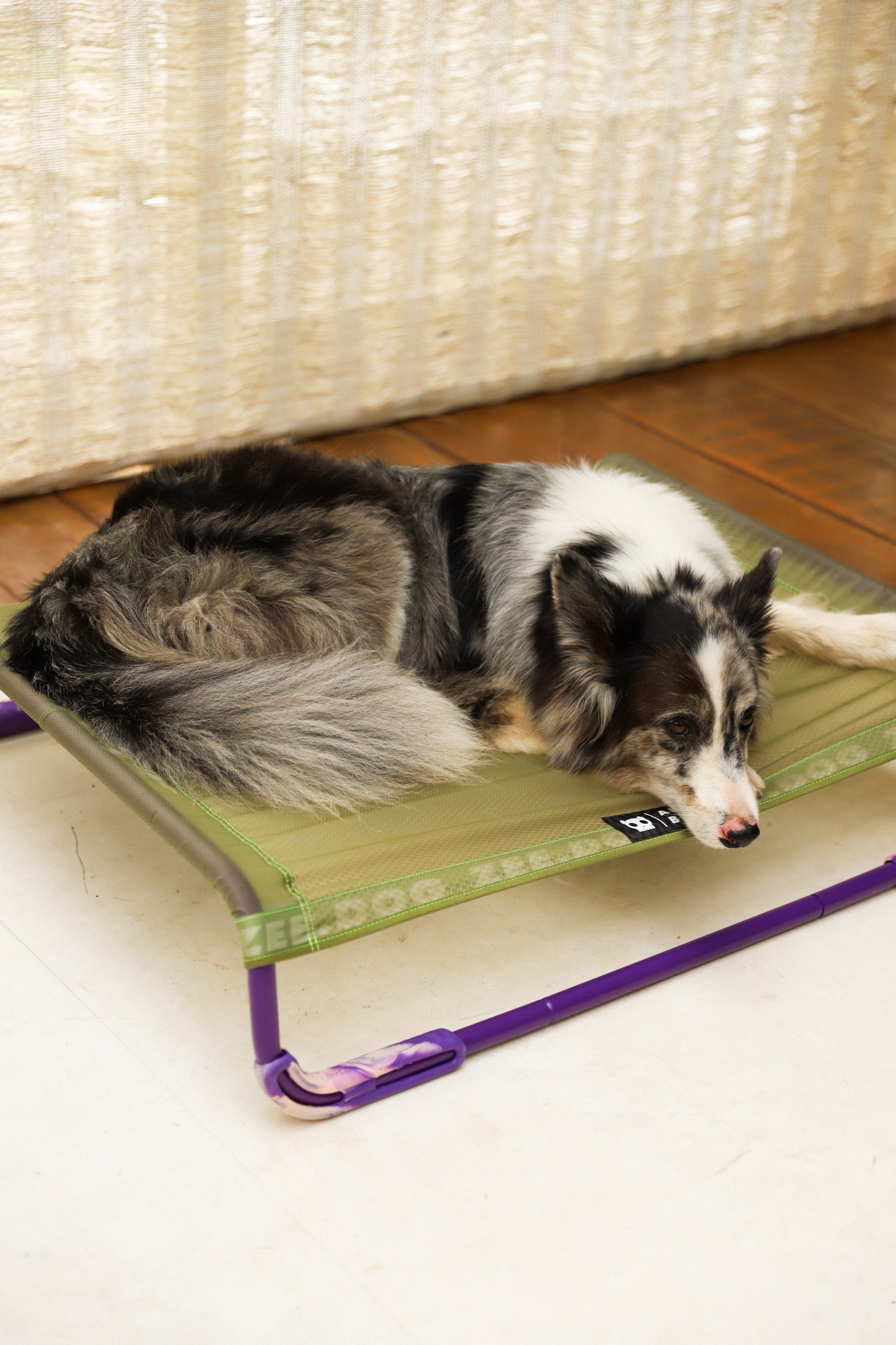 Cama Elevada Air.Bed para Perros – Verde (Green) | Zee.Dog