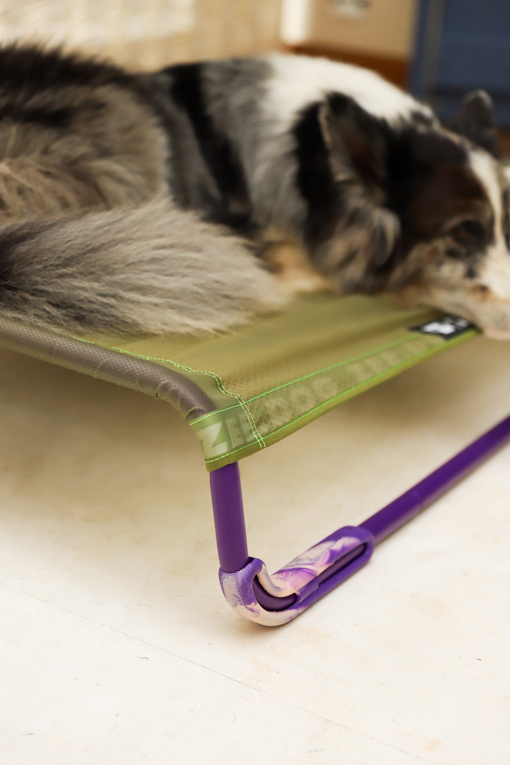 Cama Elevada Air.Bed para Perros – Verde (Green) | Zee.Dog