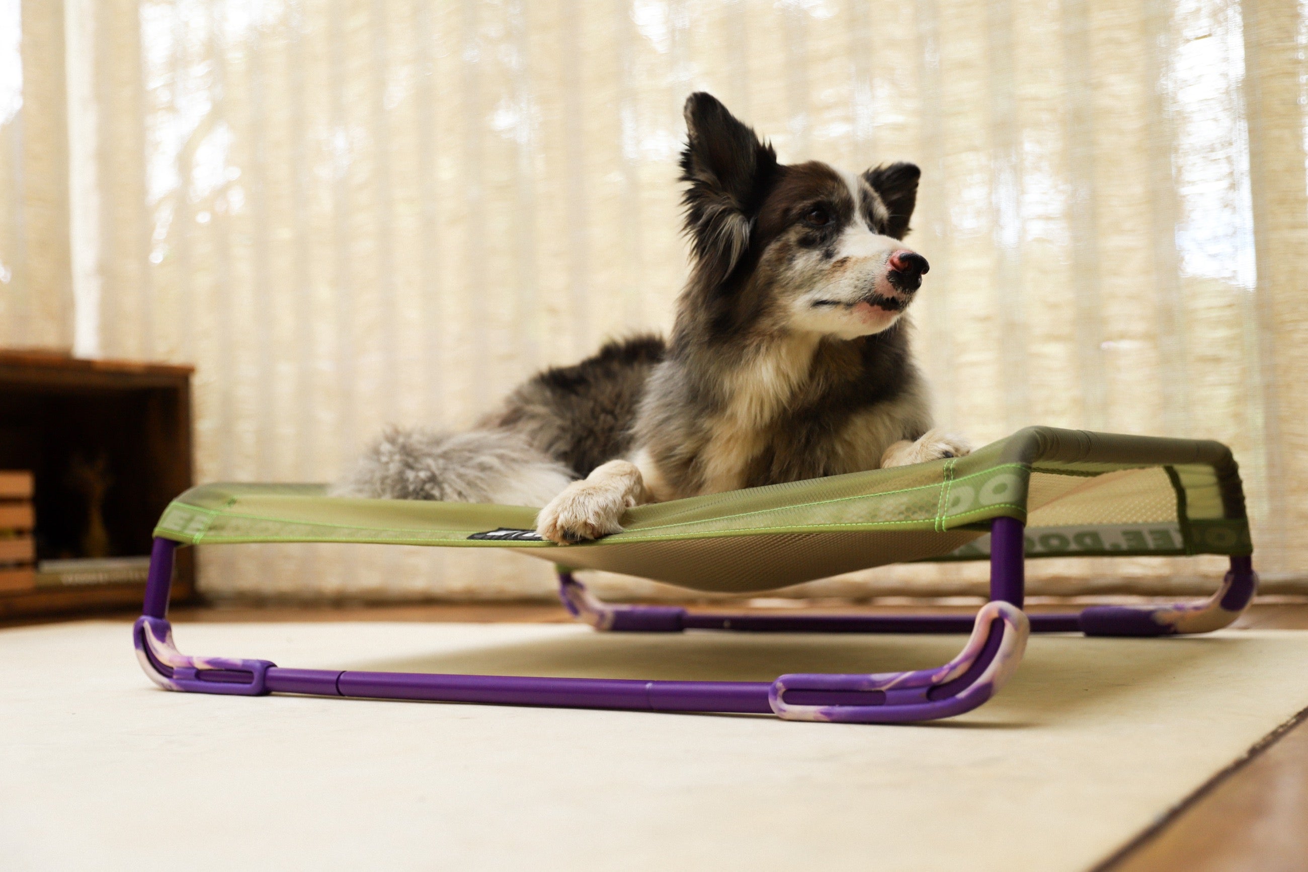 Cama Elevada Air.Bed para Perros – Verde (Green) | Zee.Dog