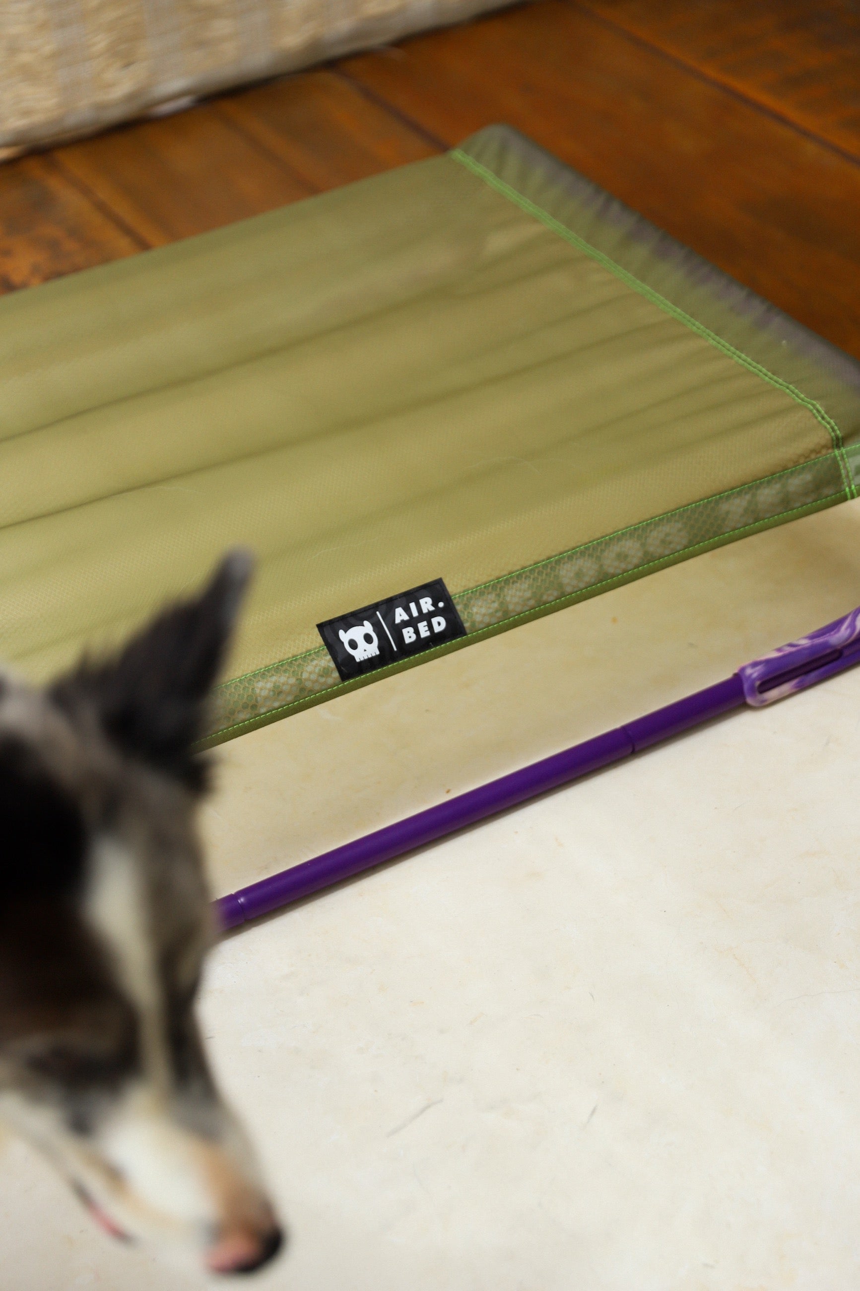 Cama Elevada Air.Bed para Perros – Verde (Green) | Zee.Dog