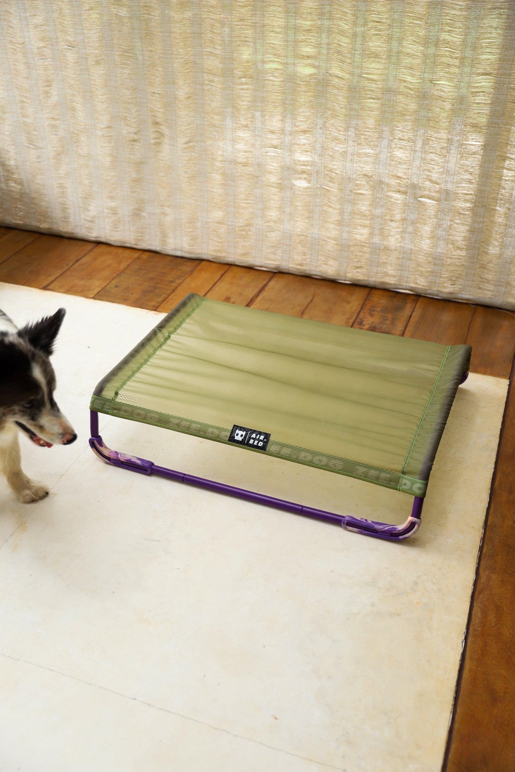 Cama Elevada Air.Bed para Perros – Verde (Green) | Zee.Dog