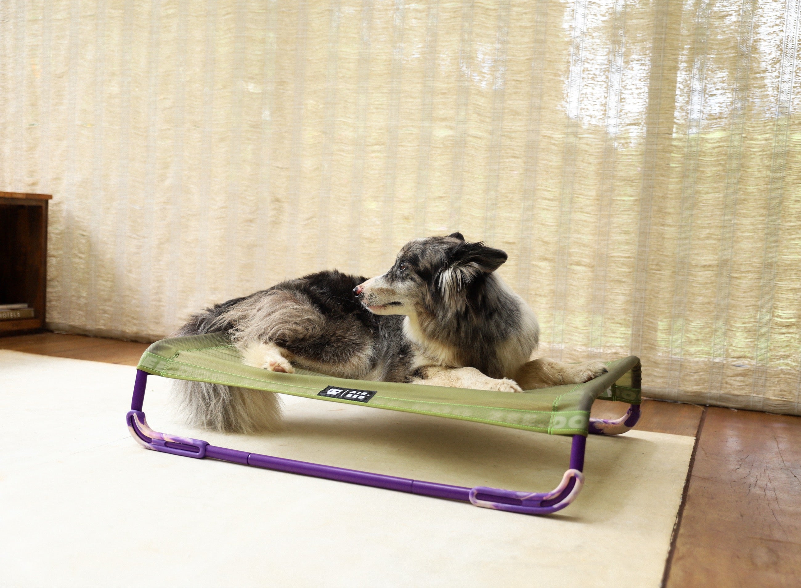 Cama Elevada Air.Bed para Perros – Verde (Green) | Zee.Dog