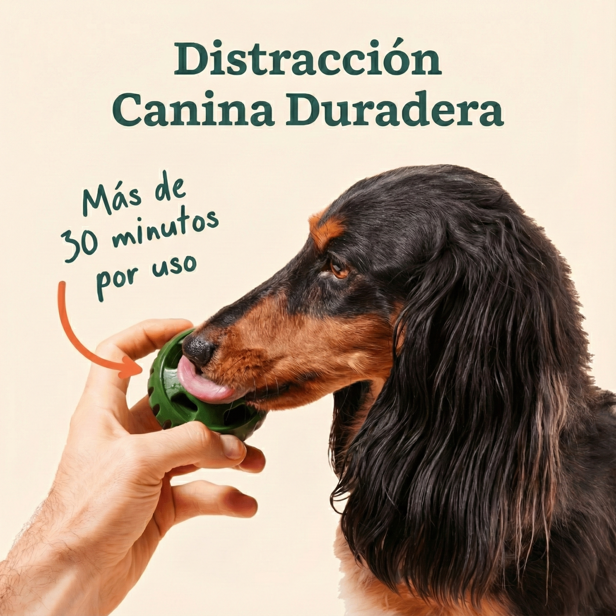 KIT de Pupsicle + Pops | Woof: La Solución para Mantener a tu Perro Ocupado: