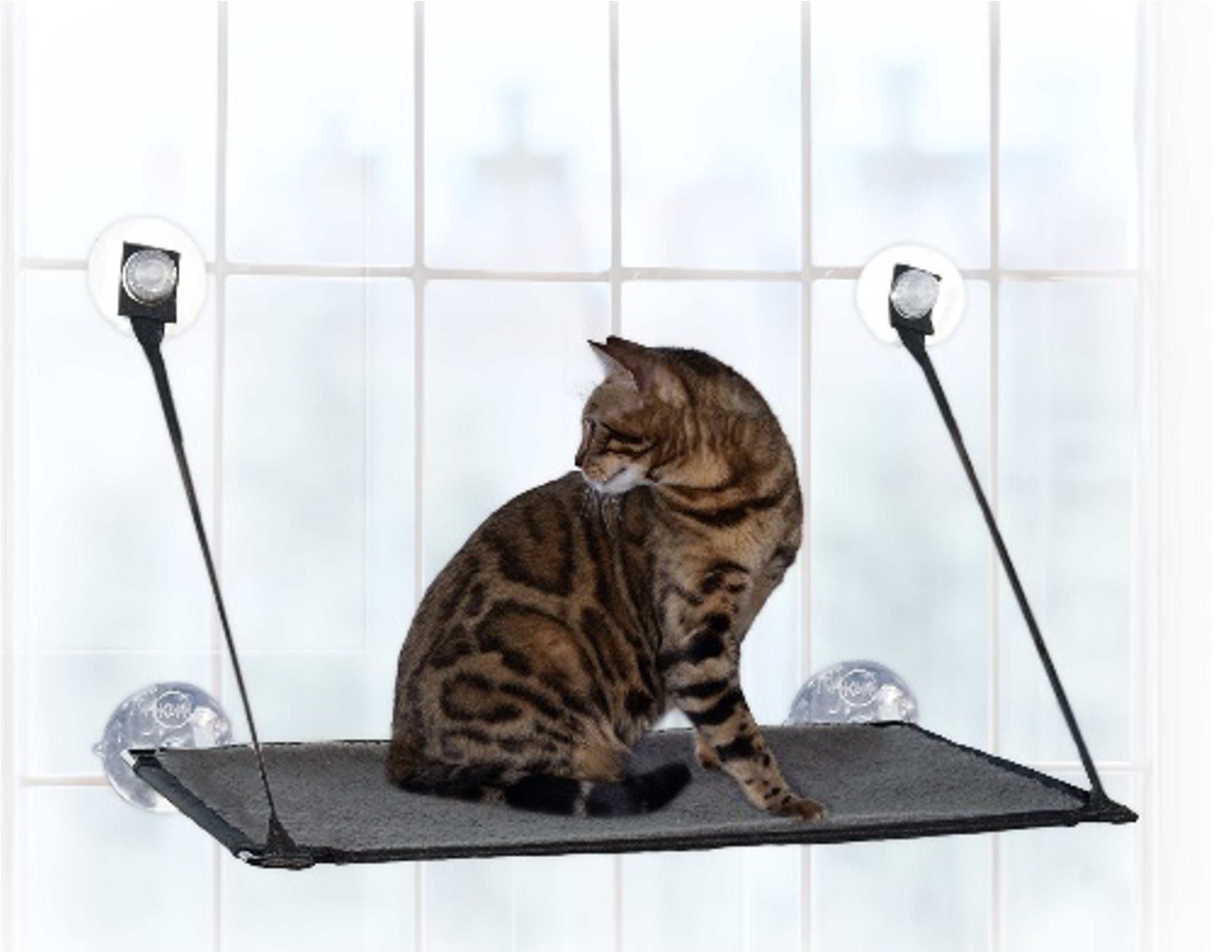 Cama Ventana Plegable para Gato Window Lounger Kitty Sill - Gris Oscuro (Single Level) | K&H