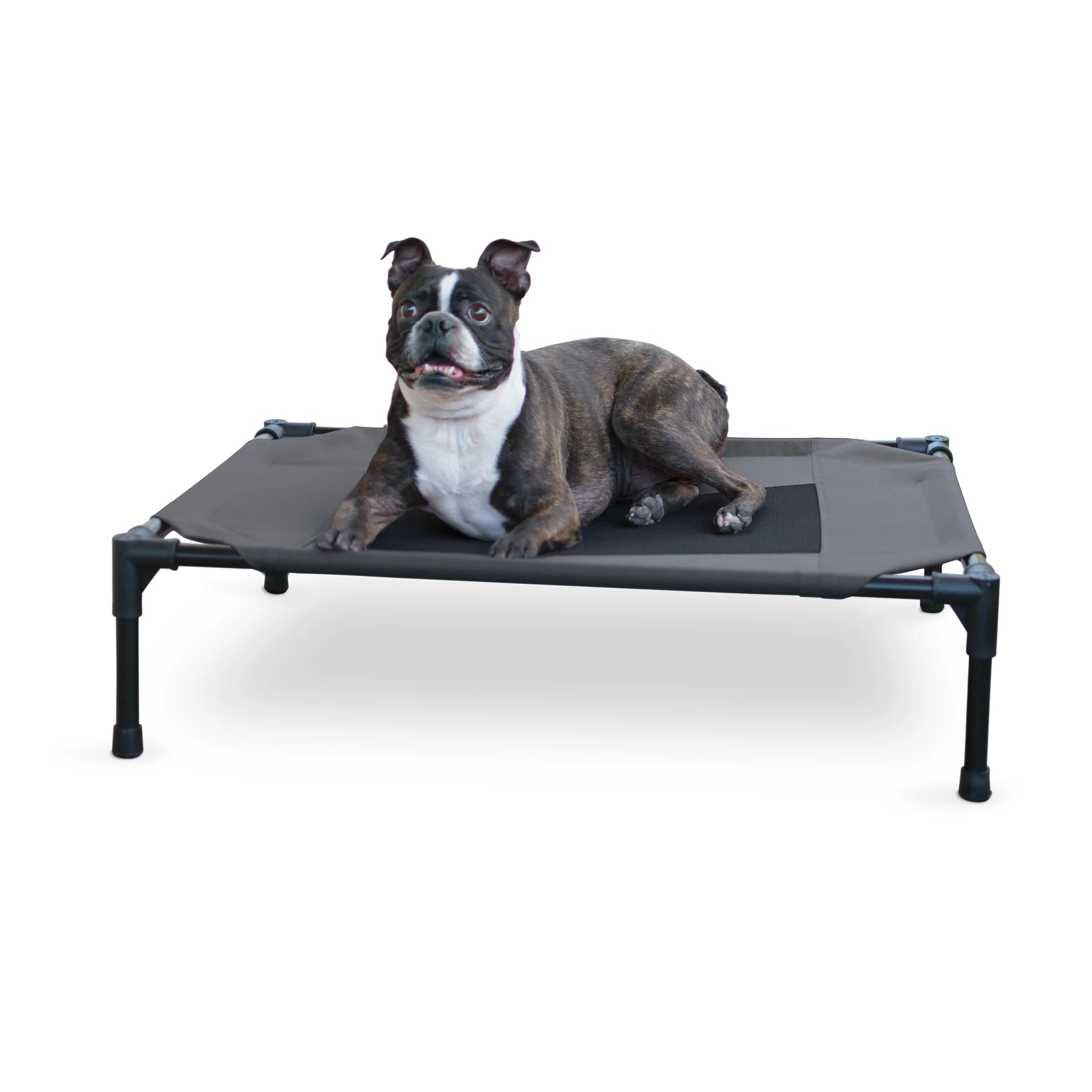 Cama Elevada para Perros Original Pet Cot - Colores y Tallas (Chica, Mediana, Grande, Extra Grande y Jumbo) | K&H
