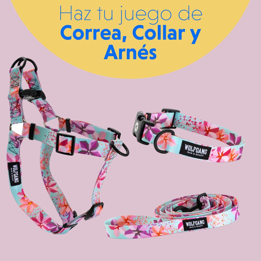 Kit Wolfgang Collar, Correa y Arnés diseño Digifloral — La Tienda de