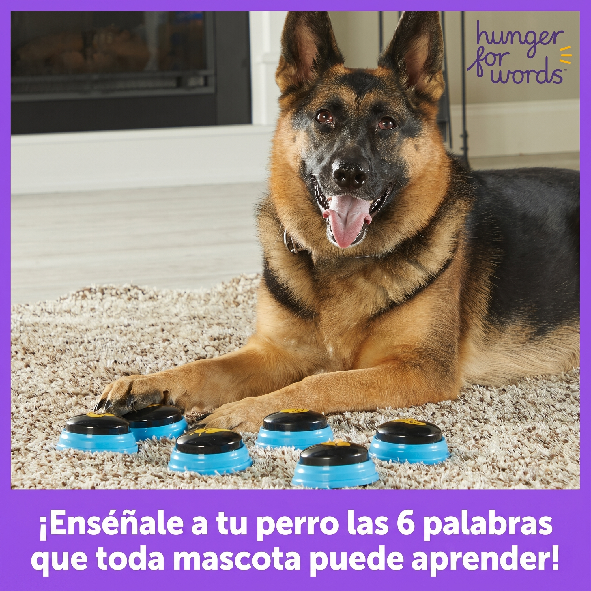 Botones Parlantes para Perros Essential Words: Set de 6 Palabras | Hunger for Words