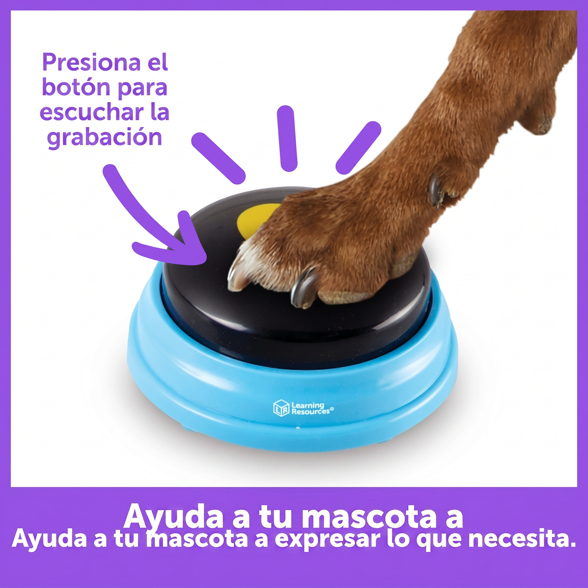 Botones Parlantes para Perros Essential Words: Set de 6 Palabras | Hunger for Words