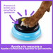 Botones Parlantes para Perros Essential Words: Set de 6 Palabras | Hunger for Words