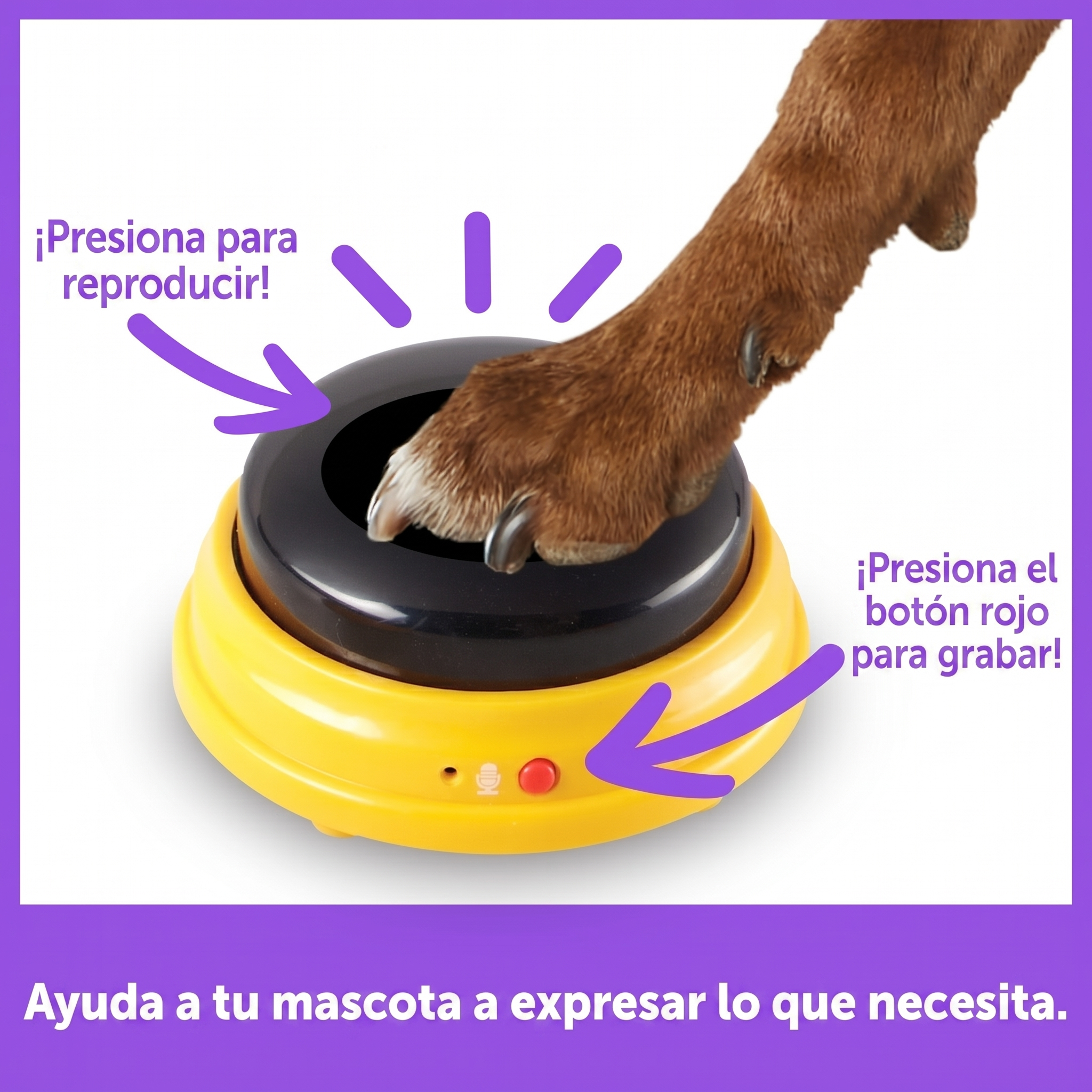 Botones Parlantes Next Words: Nombres | Hunger for Words