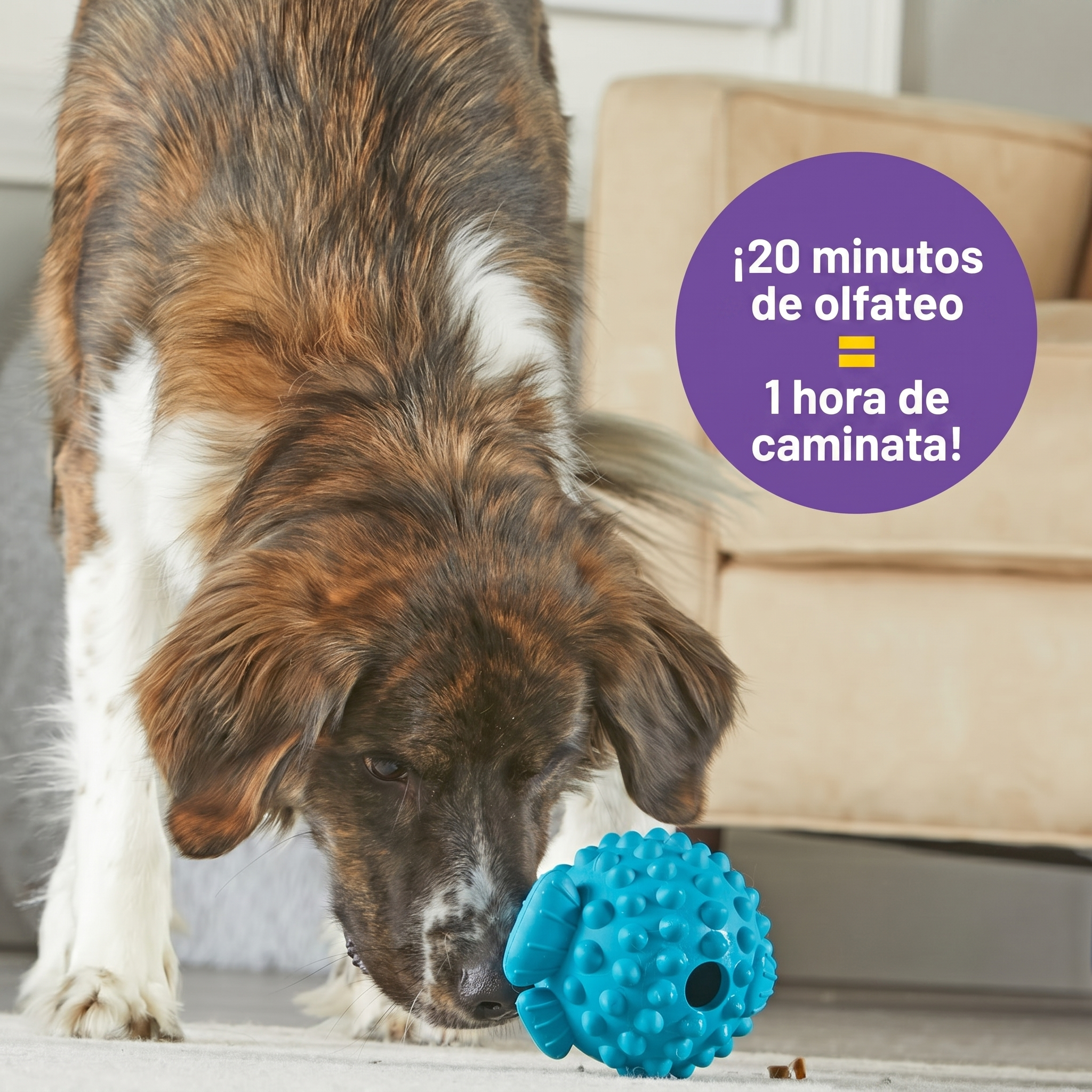 Dispensador de Premios para Perros Pez Globo Tough & Tumble | Brightkins