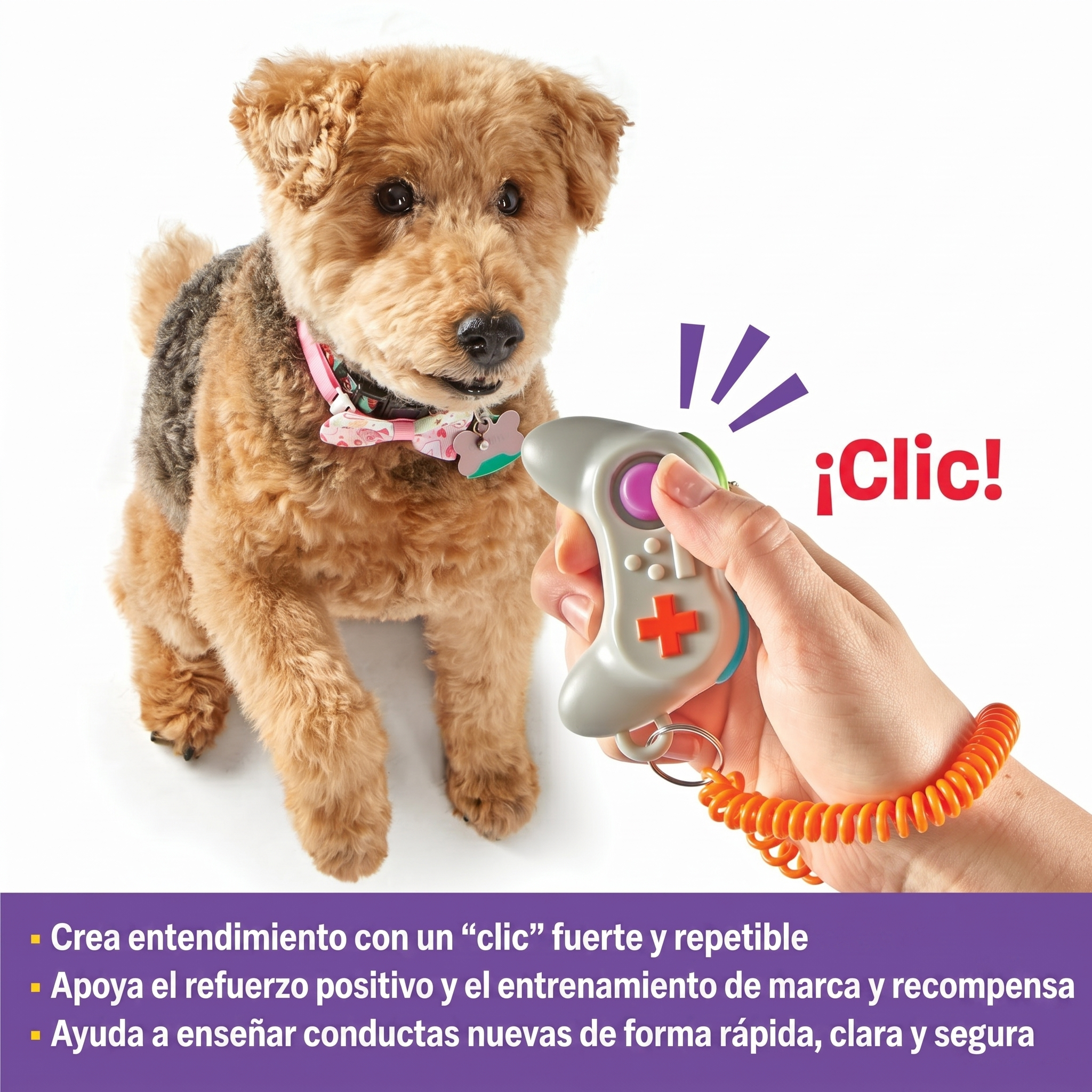 Clicker de Entrenamiento para Perros Smarty Pooch: Control Gamer | Brightkins